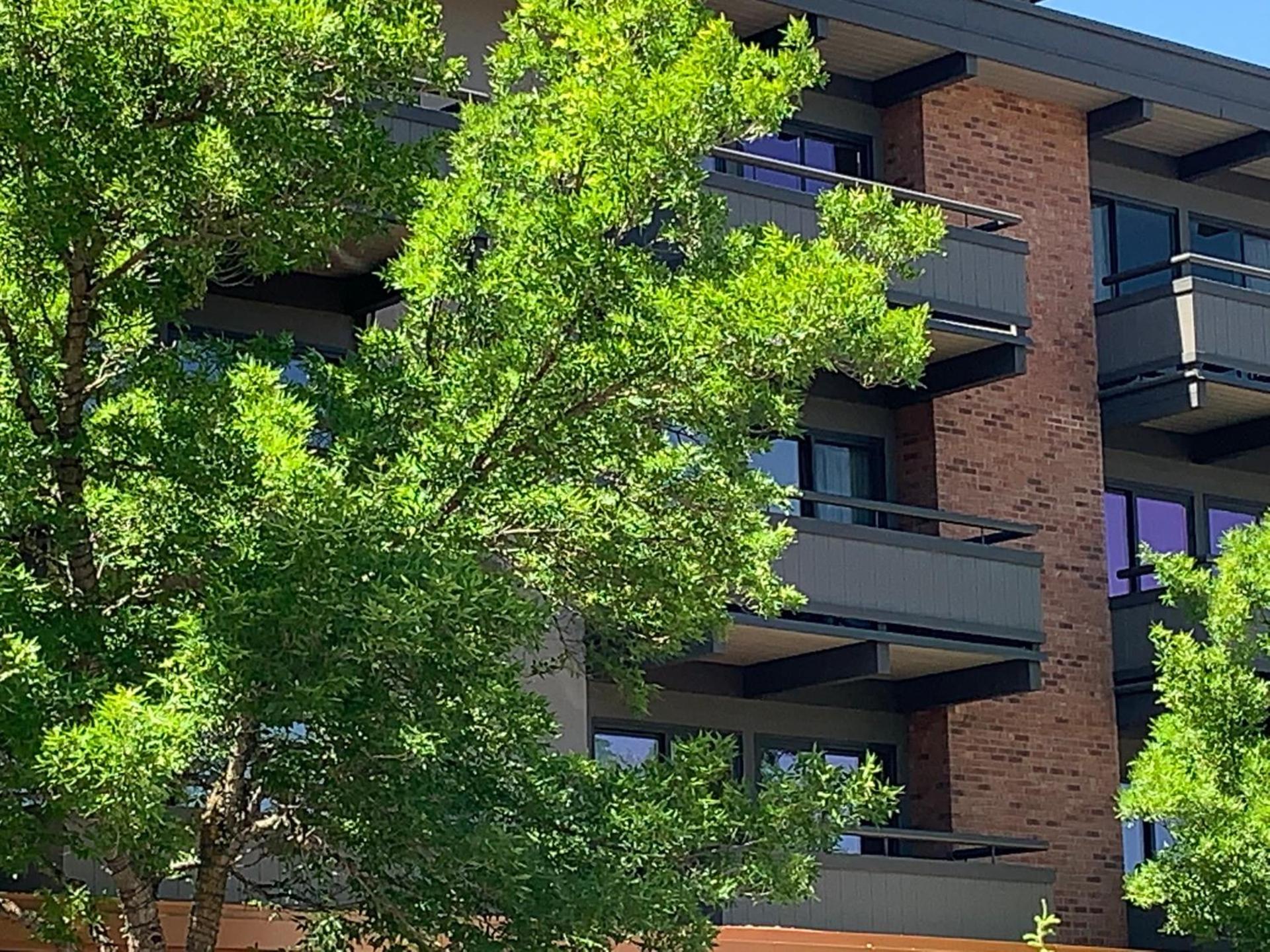 Aspen Square Condominium Hotel photo 20