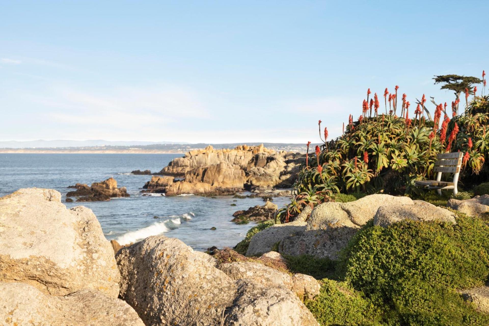 InterContinental The Clement Monterey by IHG photo 38