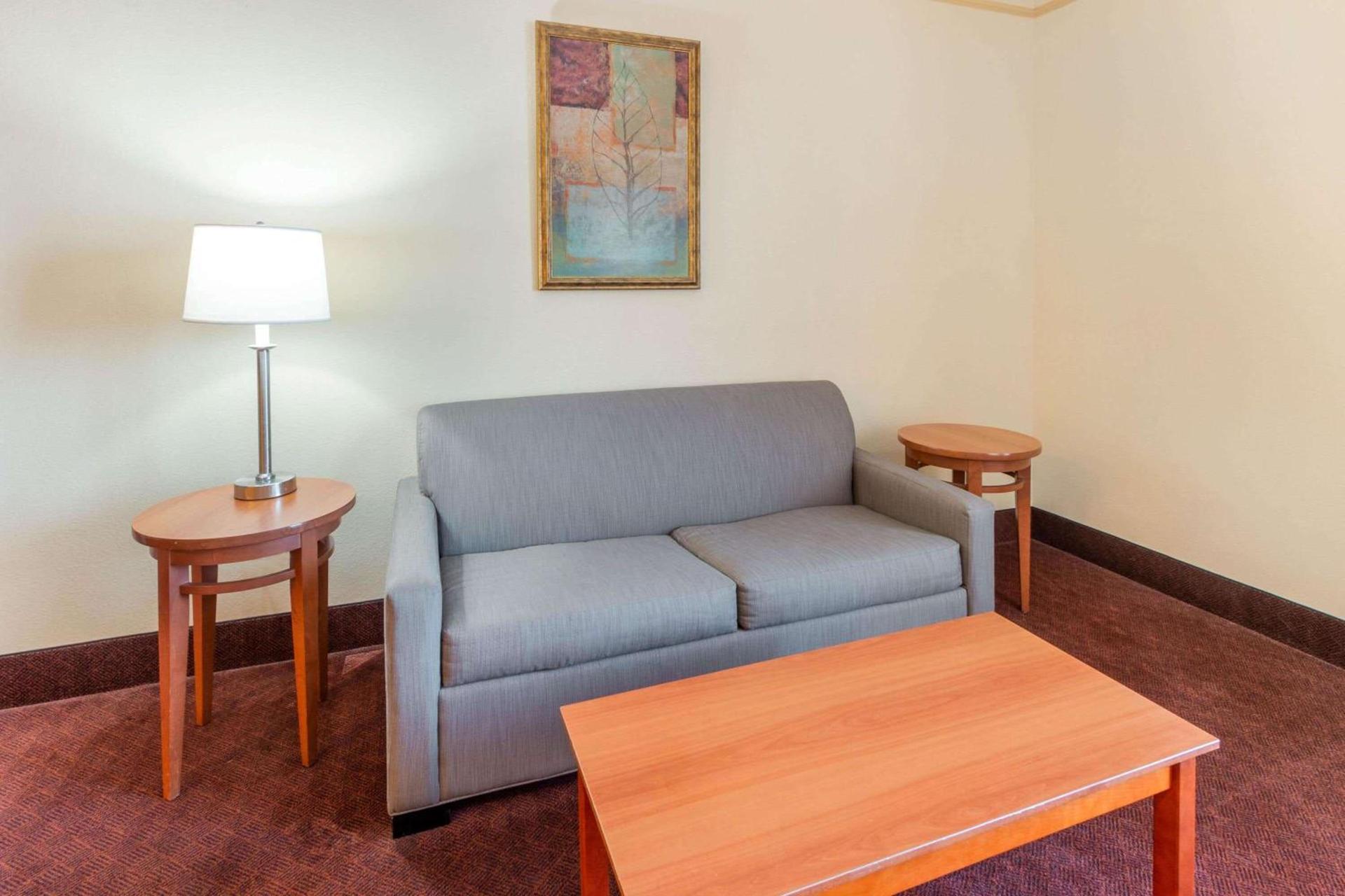 La Quinta by Wyndham Hobbs photo 28