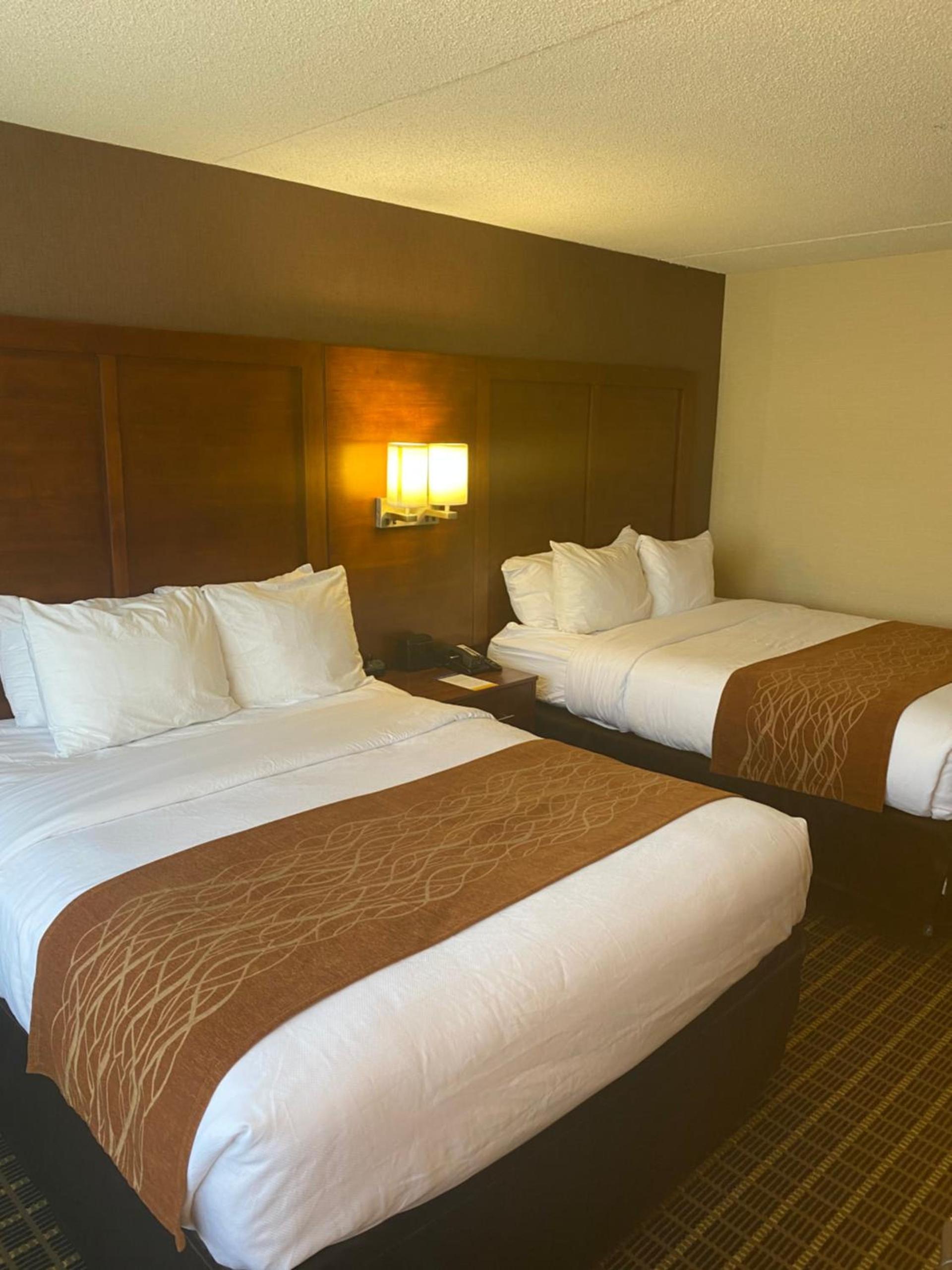 Comfort Inn Springfield photo 9