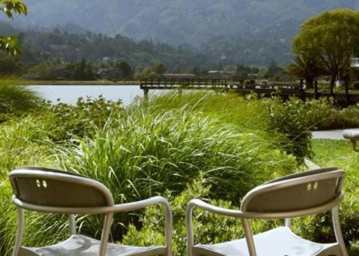 Acqua Hotel photo 10