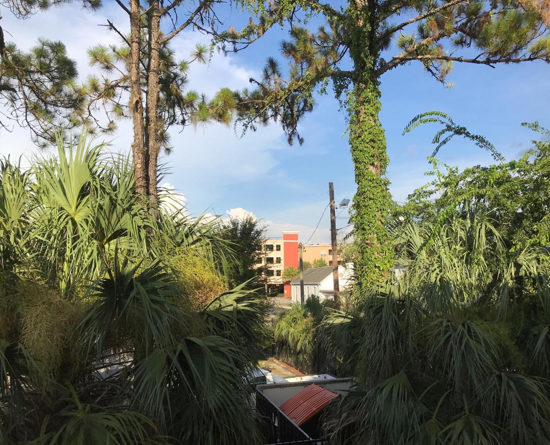 Gainesville Lodge photo 7