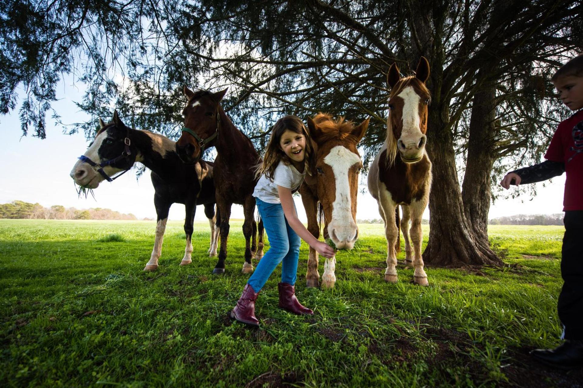 Southern Cross Guest Ranch photo 39