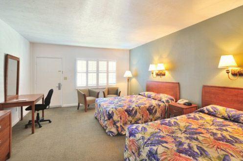 Blue Marlin Motel photo 6