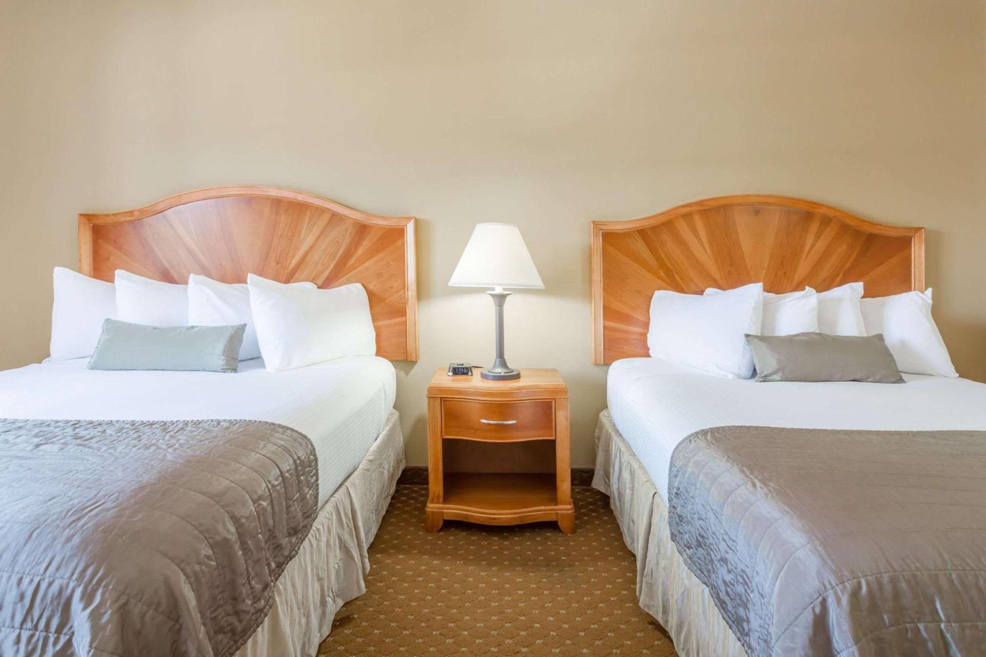 Baymont by Wyndham Asheville/Biltmore photo 26