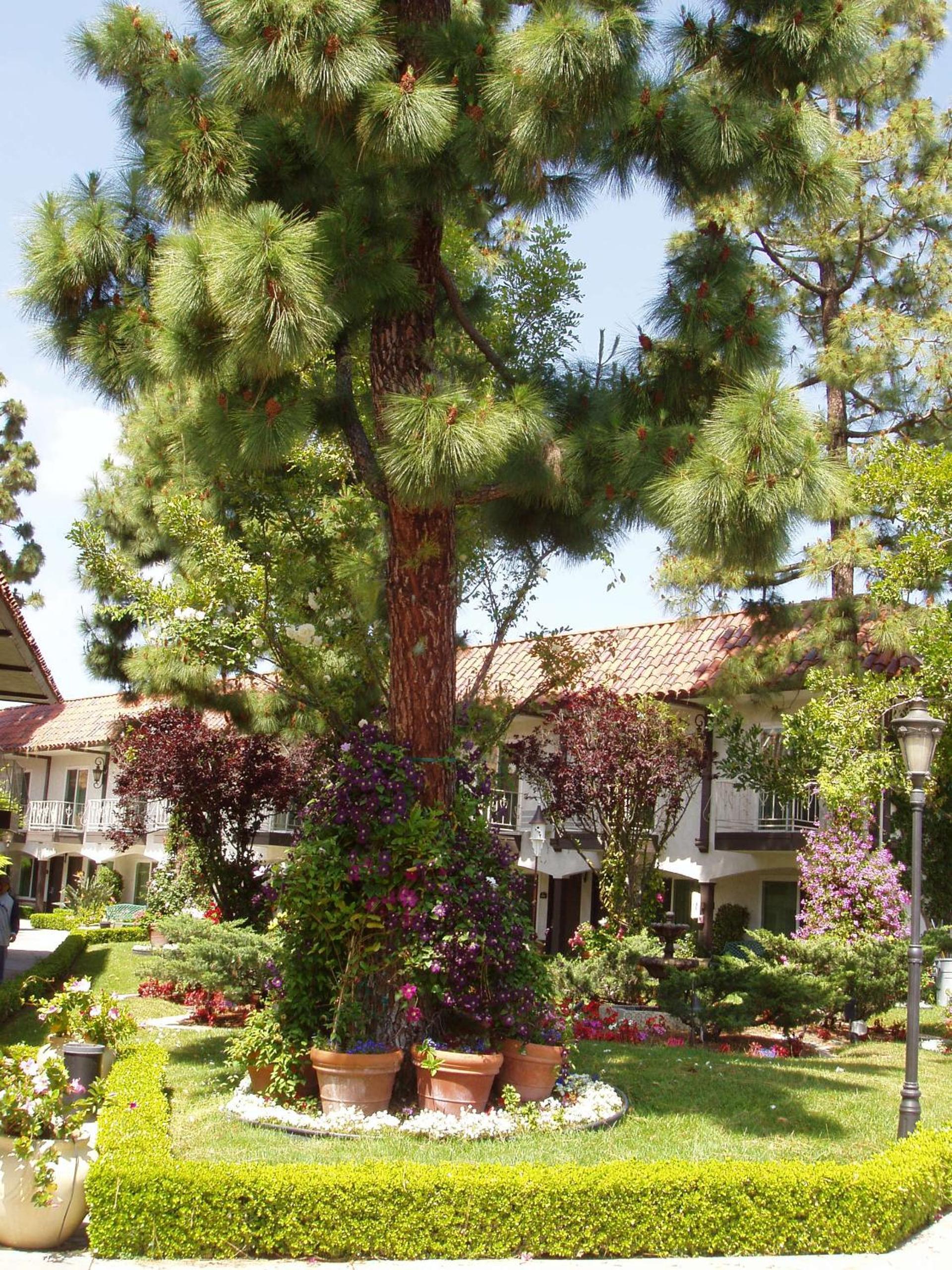 Laguna Hills Lodge-Irvine Spectrum photo 9