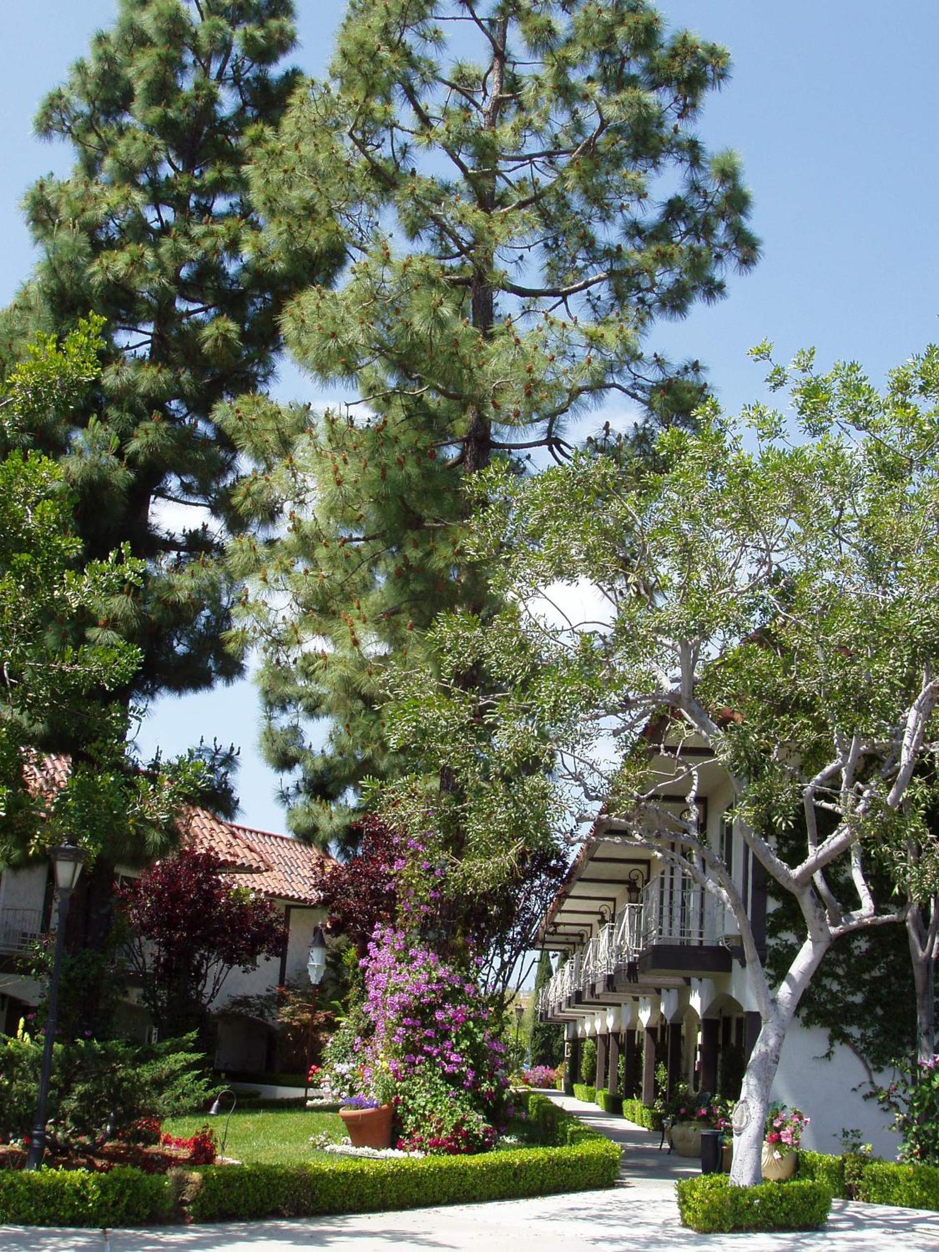 Laguna Hills Lodge-Irvine Spectrum photo 11