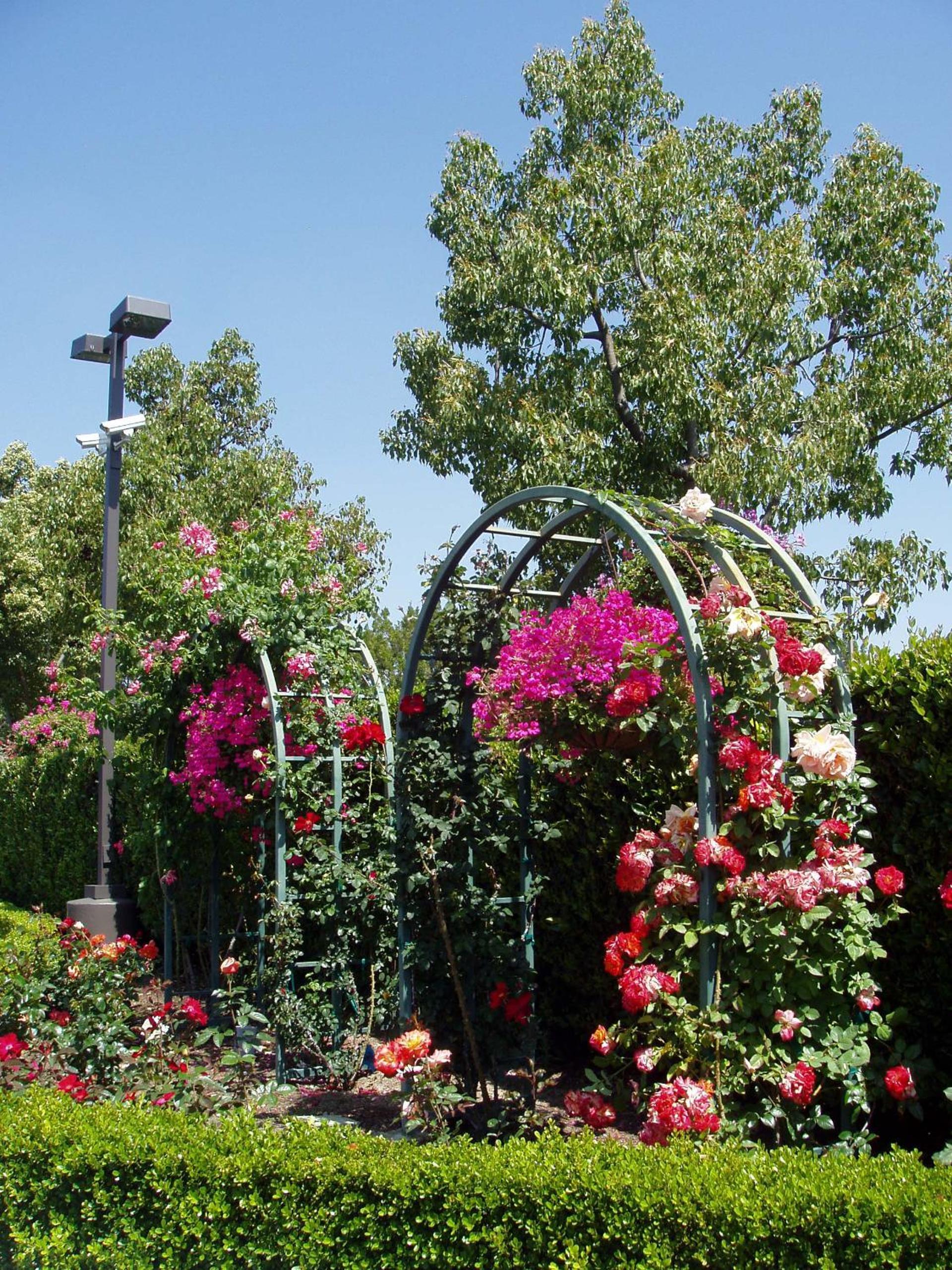 Laguna Hills Lodge-Irvine Spectrum photo 12