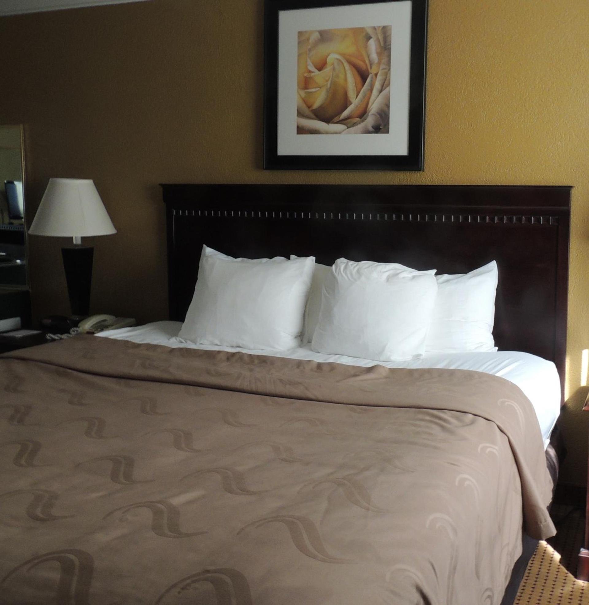 Quality Inn & Suites Syracuse Fairgrounds photo 43
