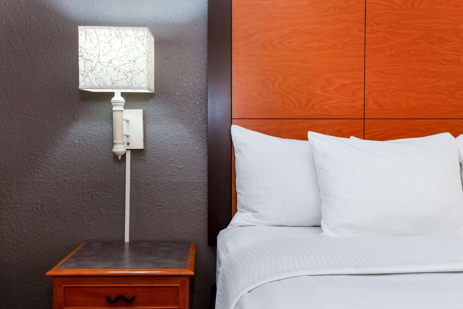 La Quinta Inn by Wyndham Laredo I-35 photo 8