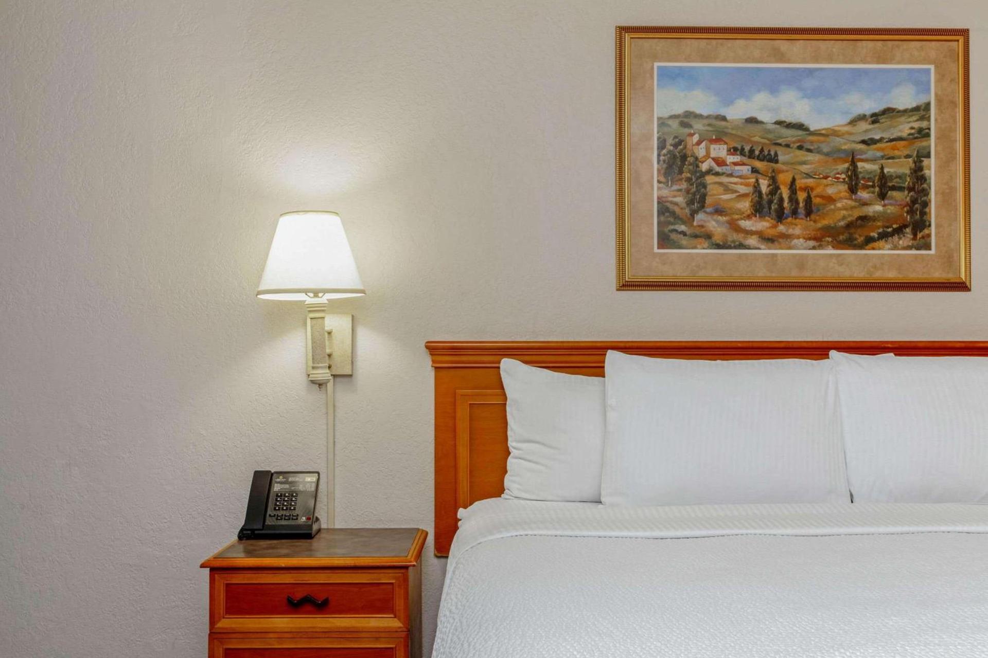 La Quinta by Wyndham St Petersburg-Clearwater photo 20