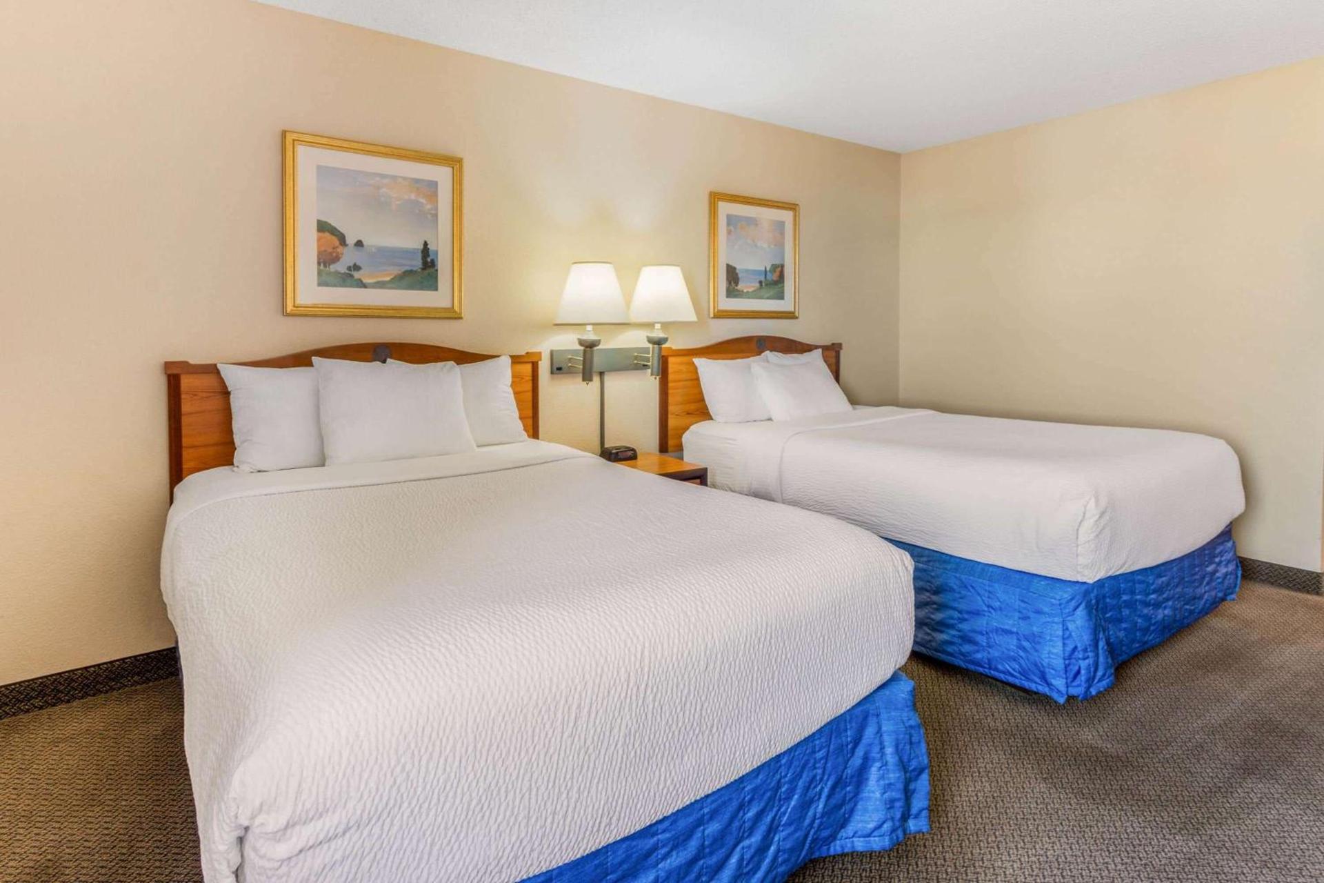 La Quinta Inn & Suites by Wyndham Las Cruces Organ Mountain photo 13