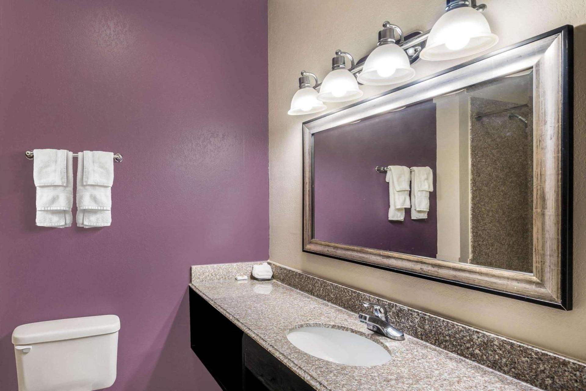 La Quinta by Wyndham Canton MS photo 15