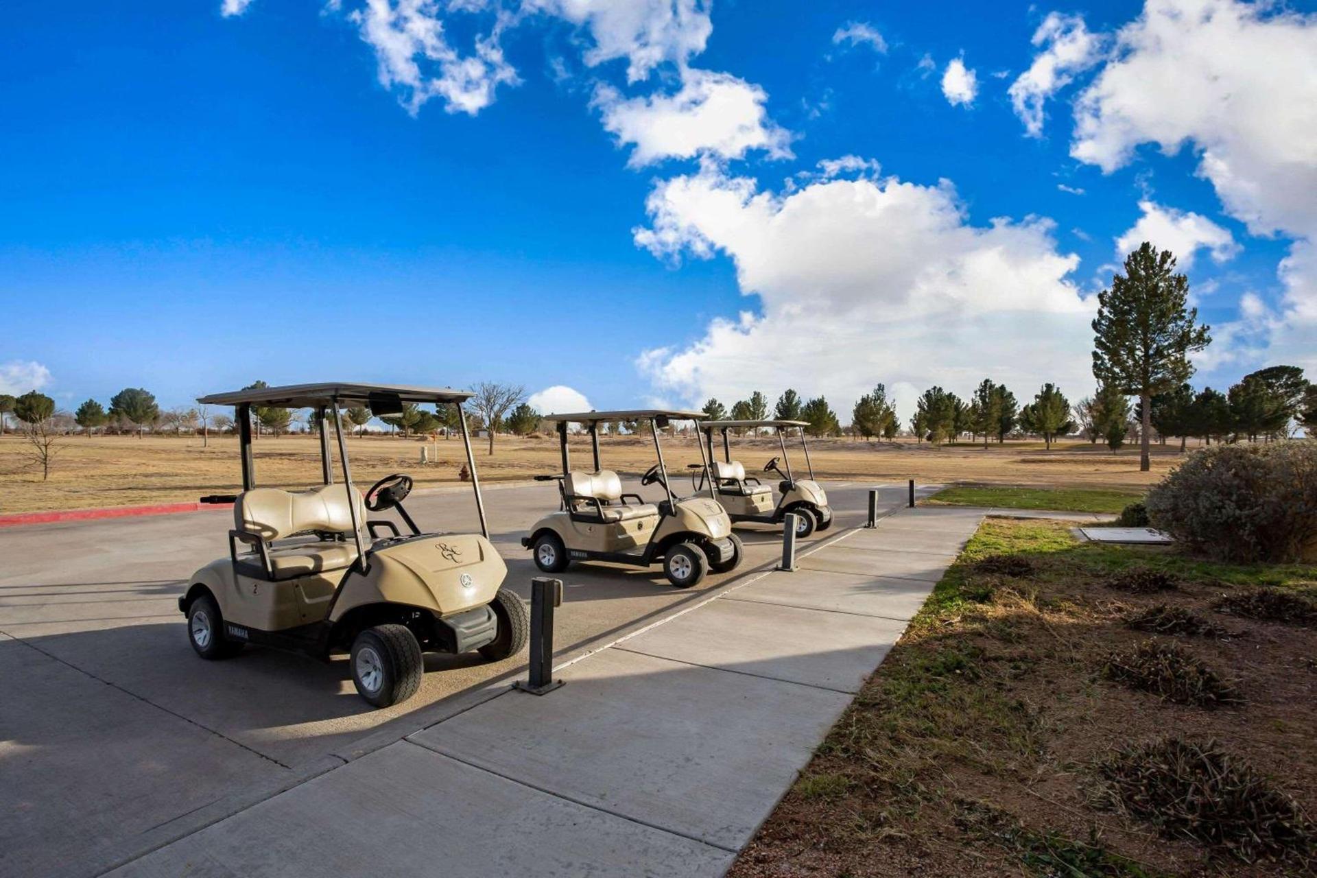 La Quinta by Wyndham Pecos photo 23