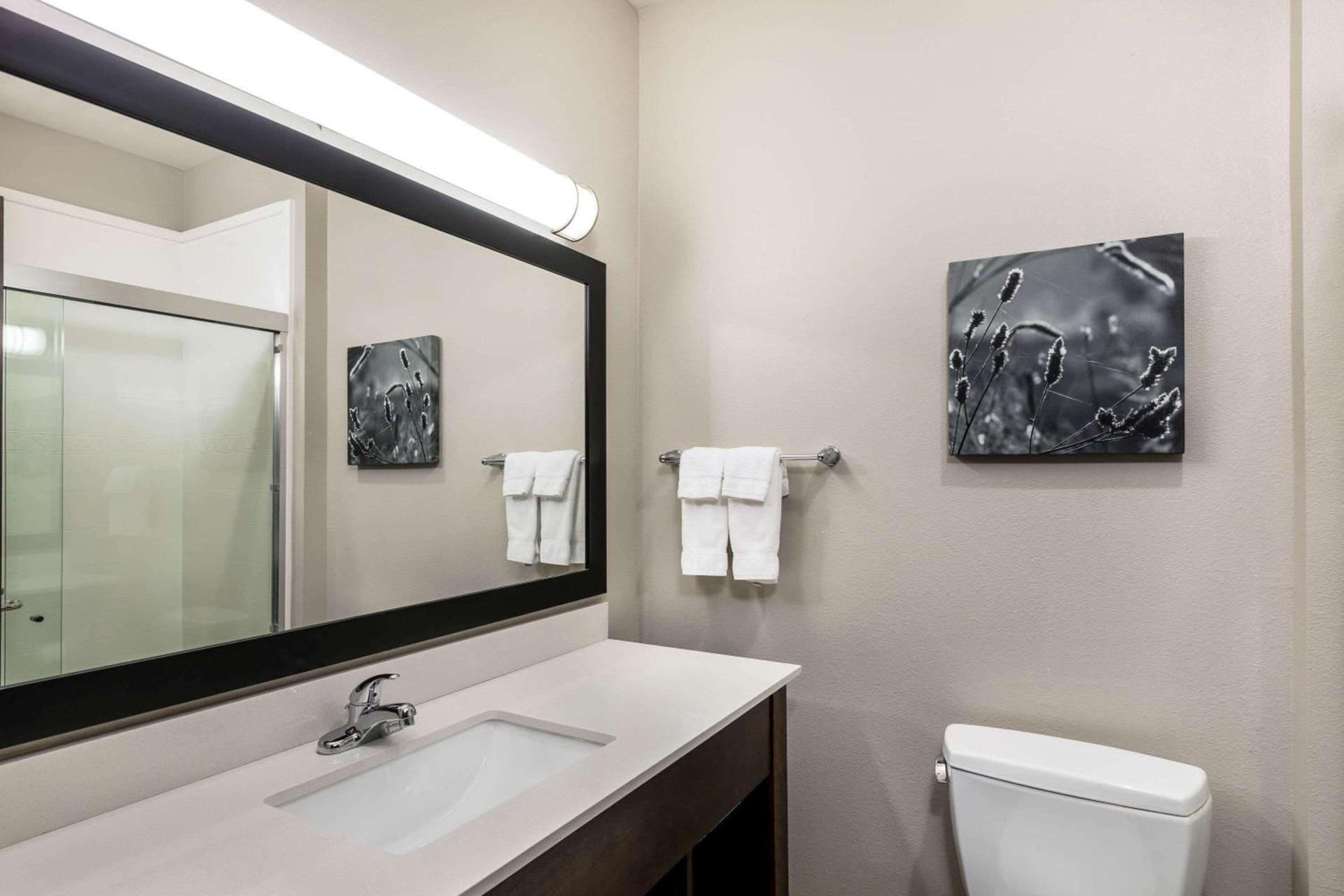 Comfort Inn & Suites photo 42