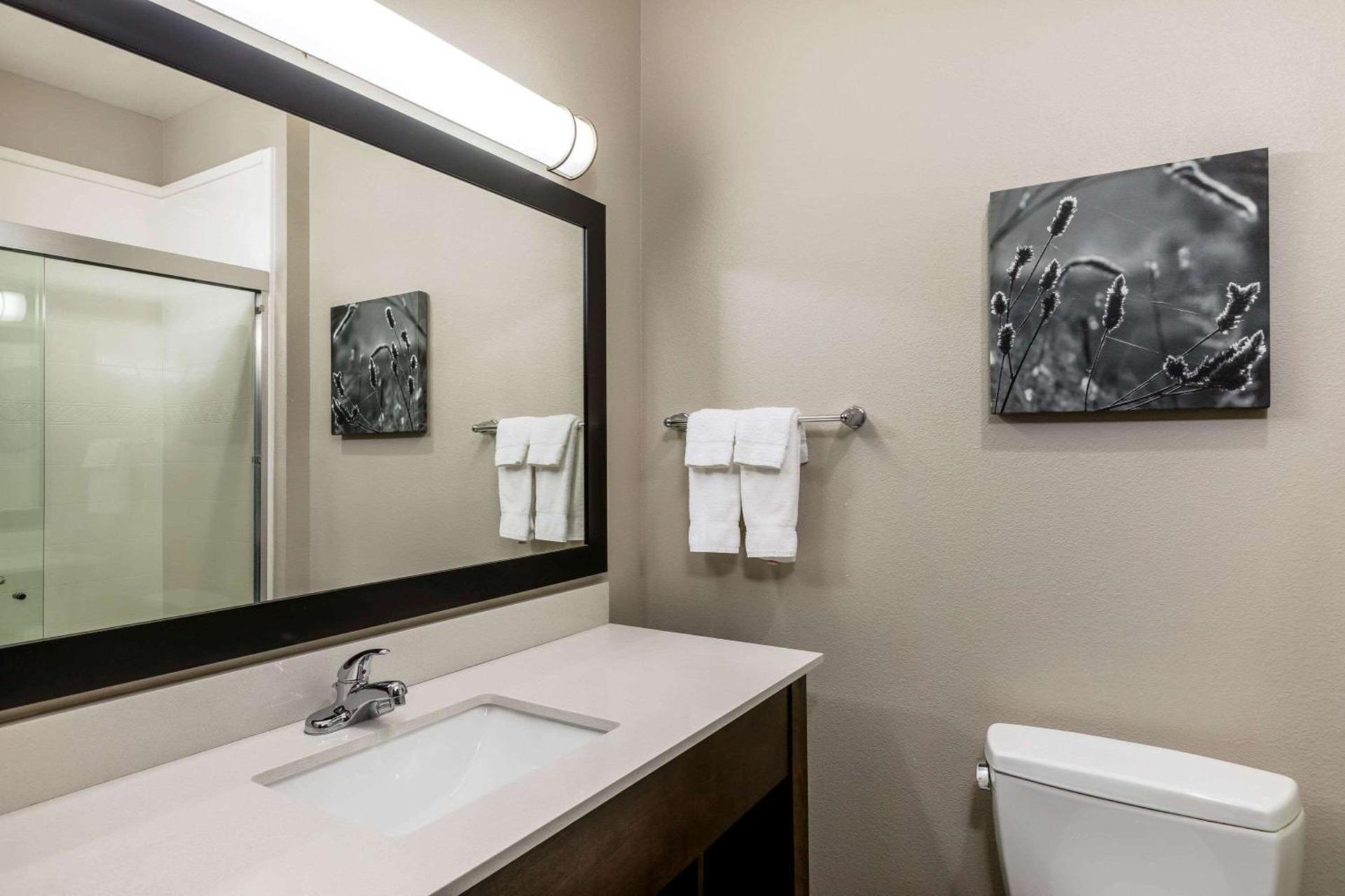 Comfort Inn & Suites photo 40