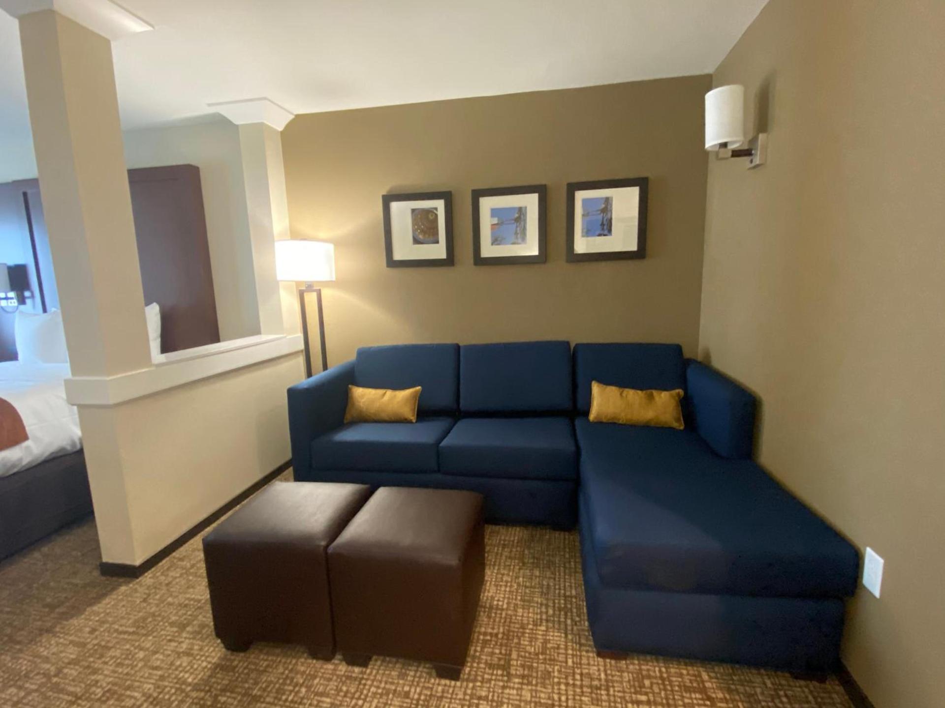 Comfort Suites Midland West photo 22