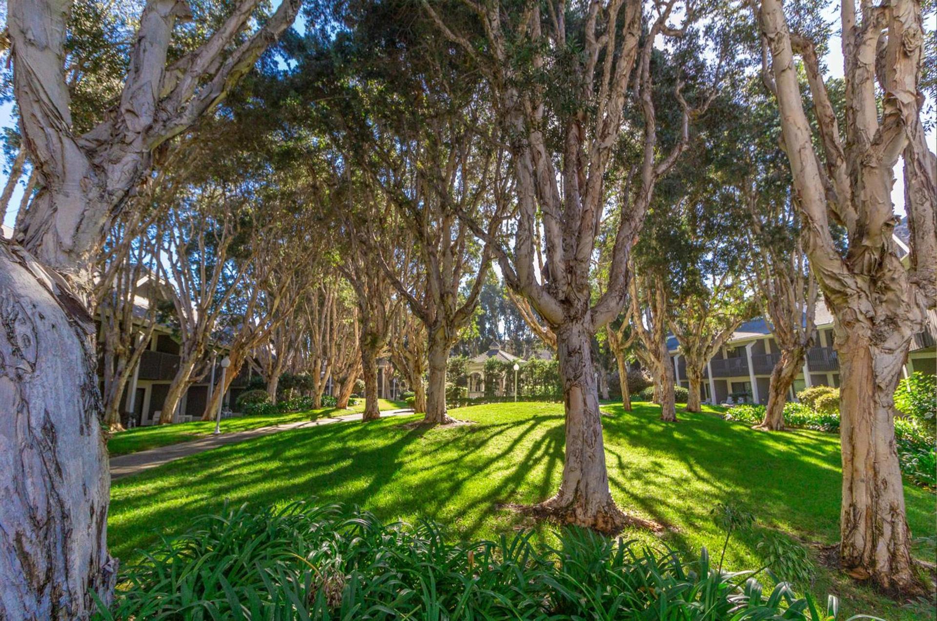 Carlsbad by the Sea Hotel, Carlsbad, Series By Marriott photo 18