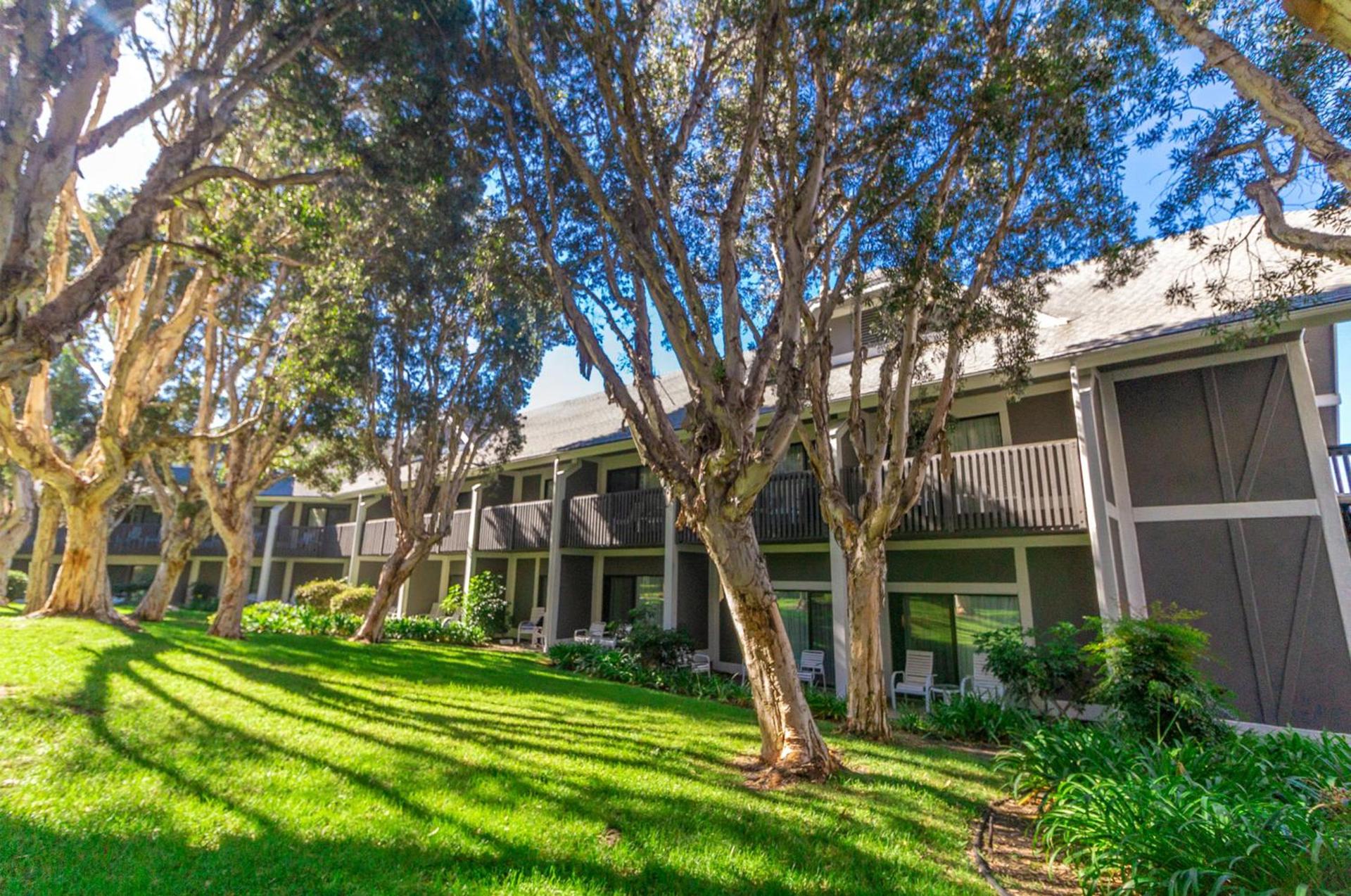 Carlsbad by the Sea Hotel, Carlsbad, Series By Marriott photo 33