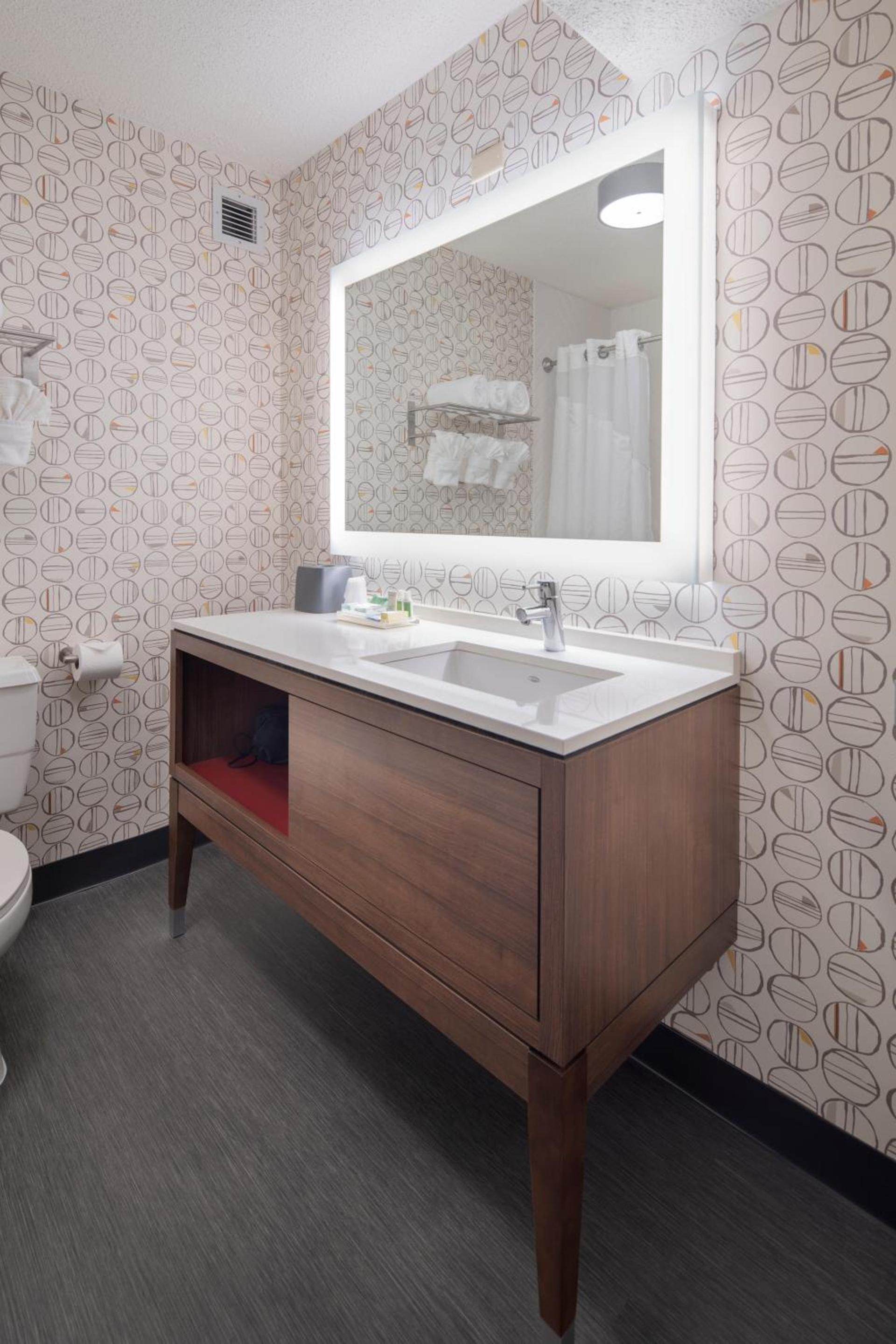 Holiday Inn Asheville - Biltmore West by IHG photo 4