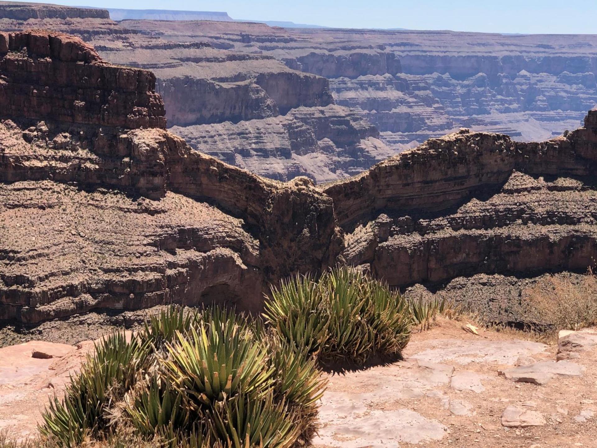 Cabins at Grand Canyon West photo 6