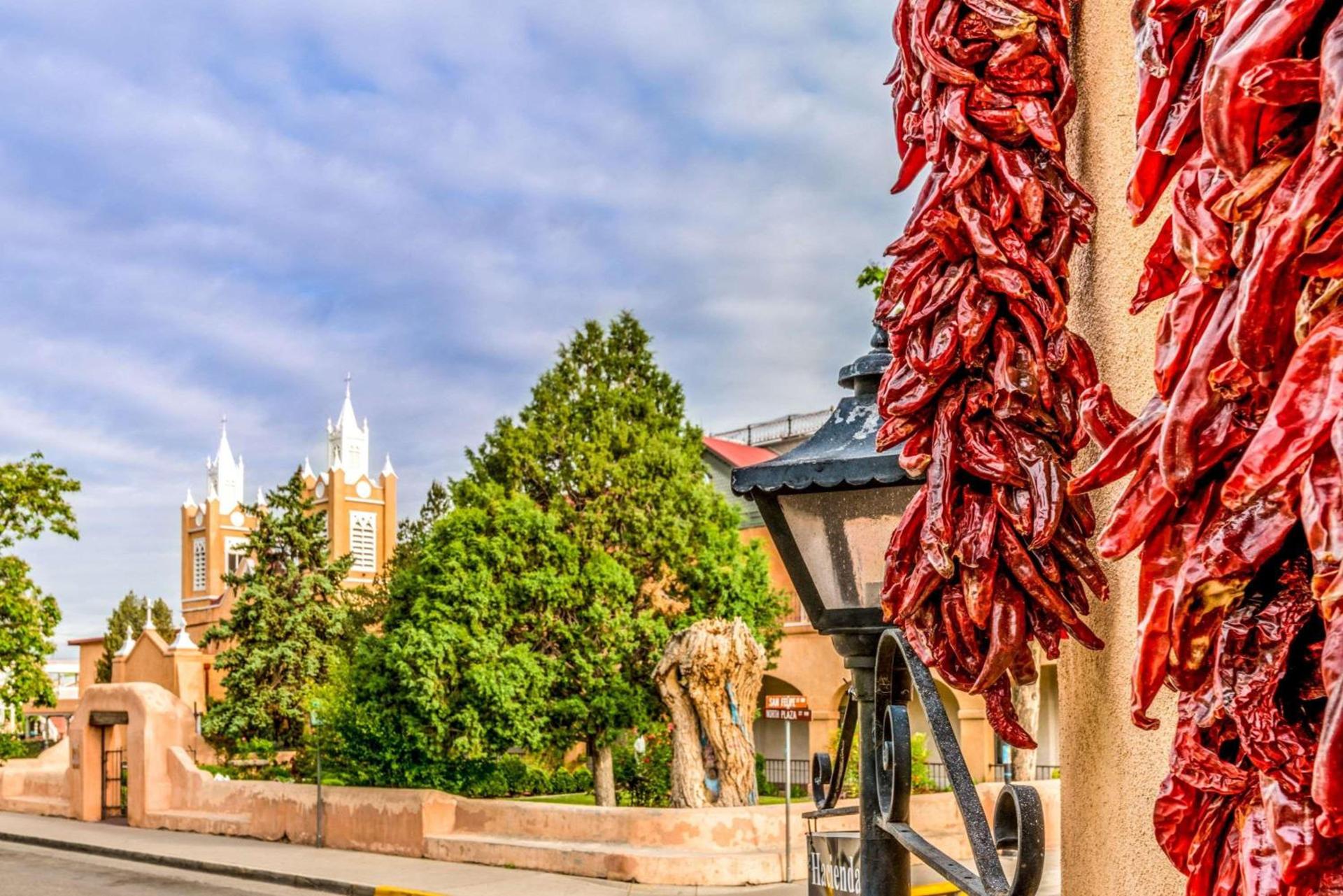Garner Hotel Albuquerque West by IHG photo 5