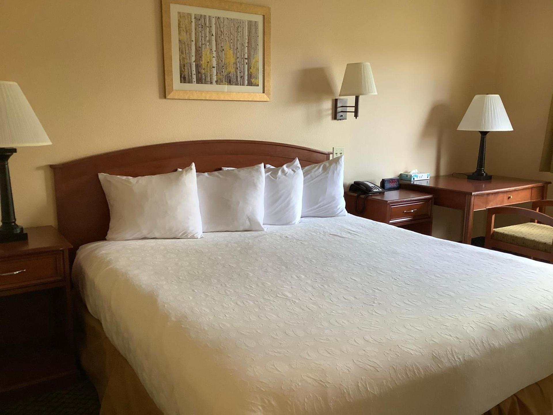 Luxury Inn & Suites photo 50