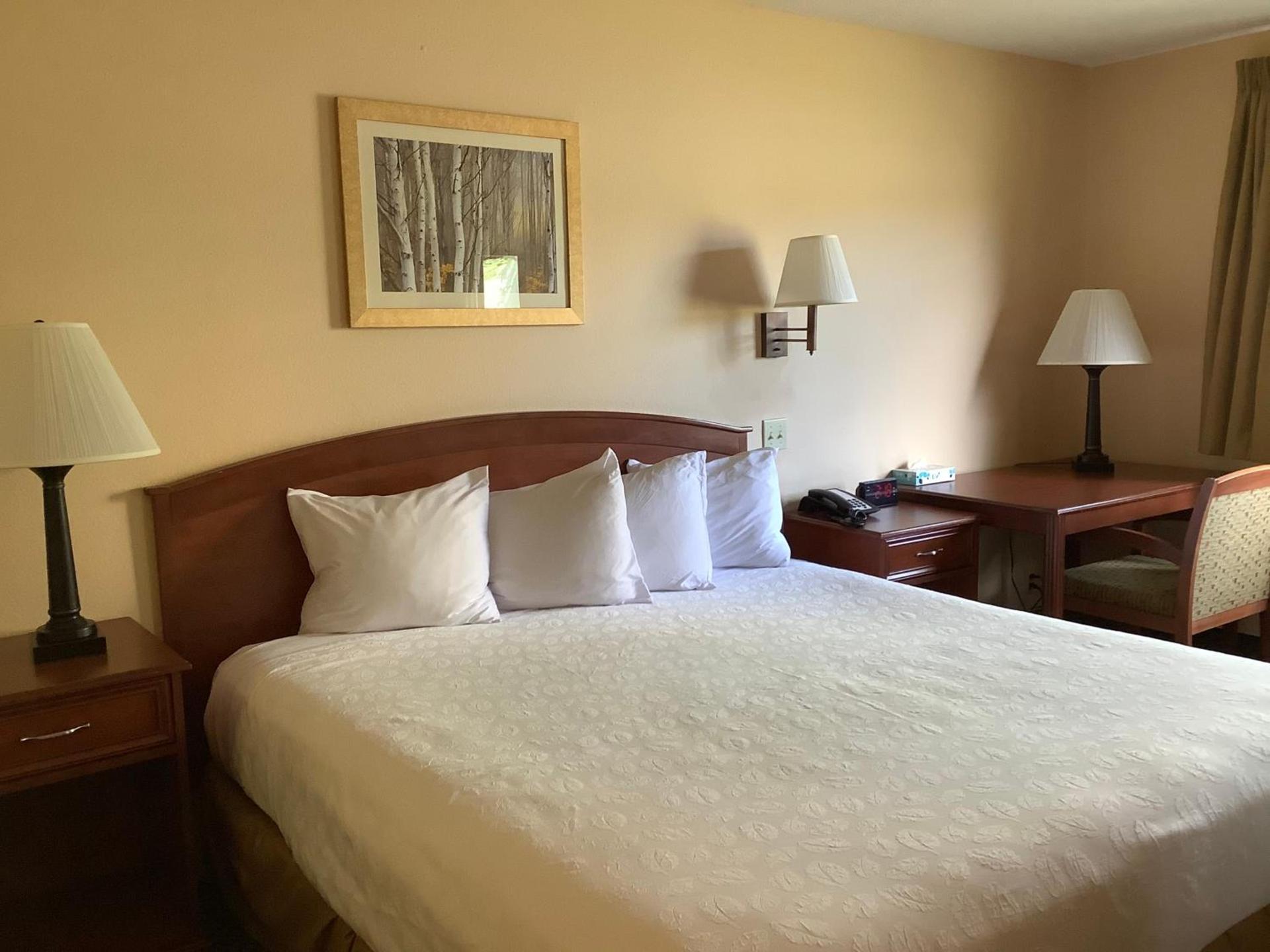 Luxury Inn & Suites photo 51