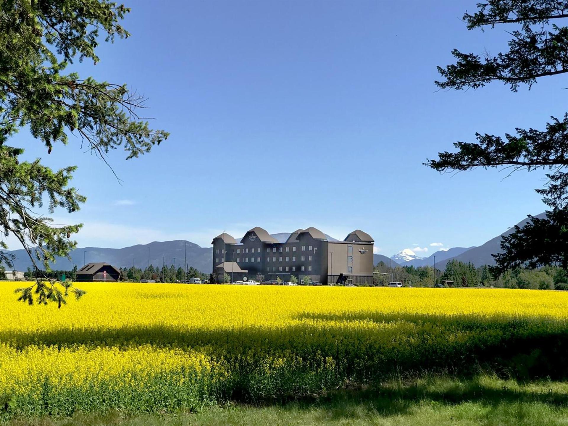 Glacier International Lodge photo 1