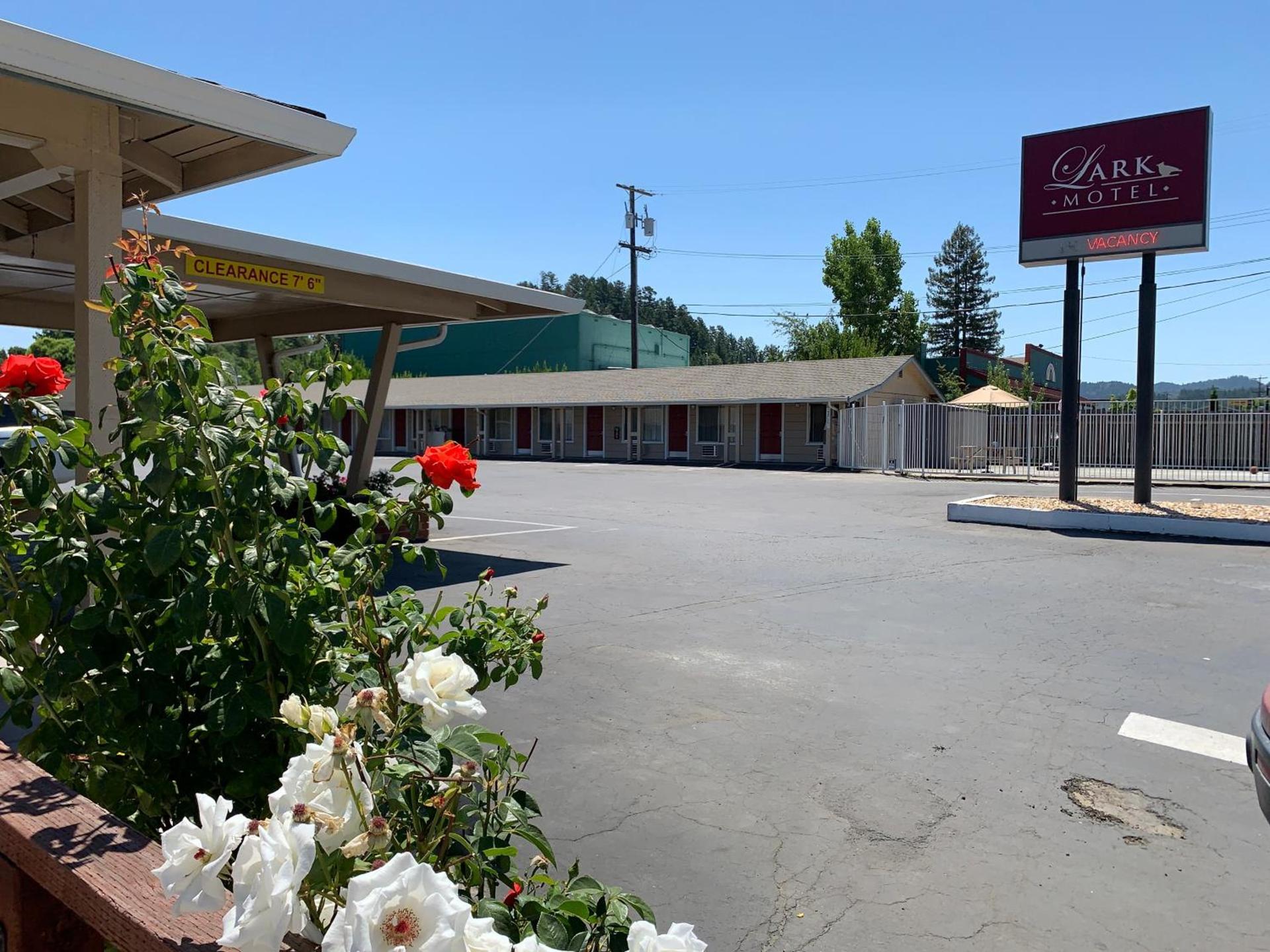Lark Motel Willits photo 10