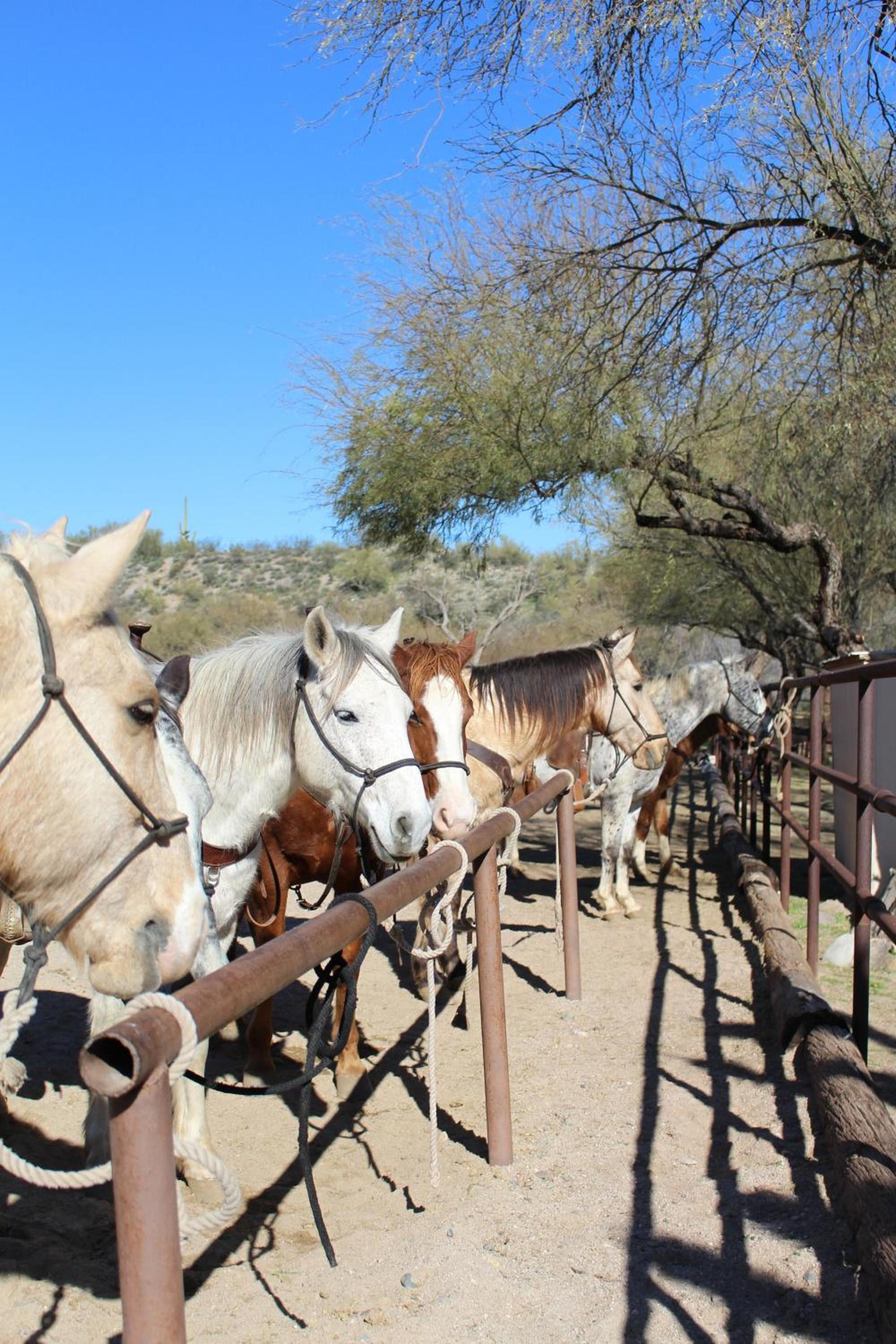 Kay El Bar Guest Ranch photo 23