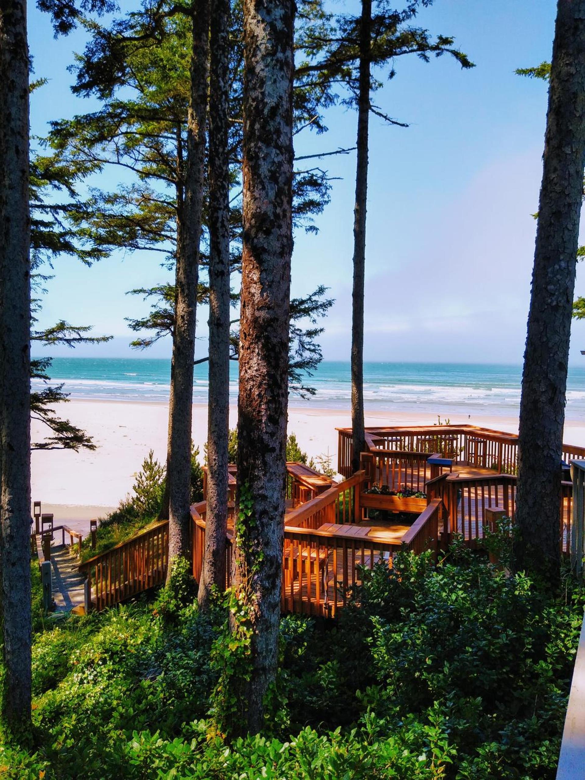 Starfish Point photo 36