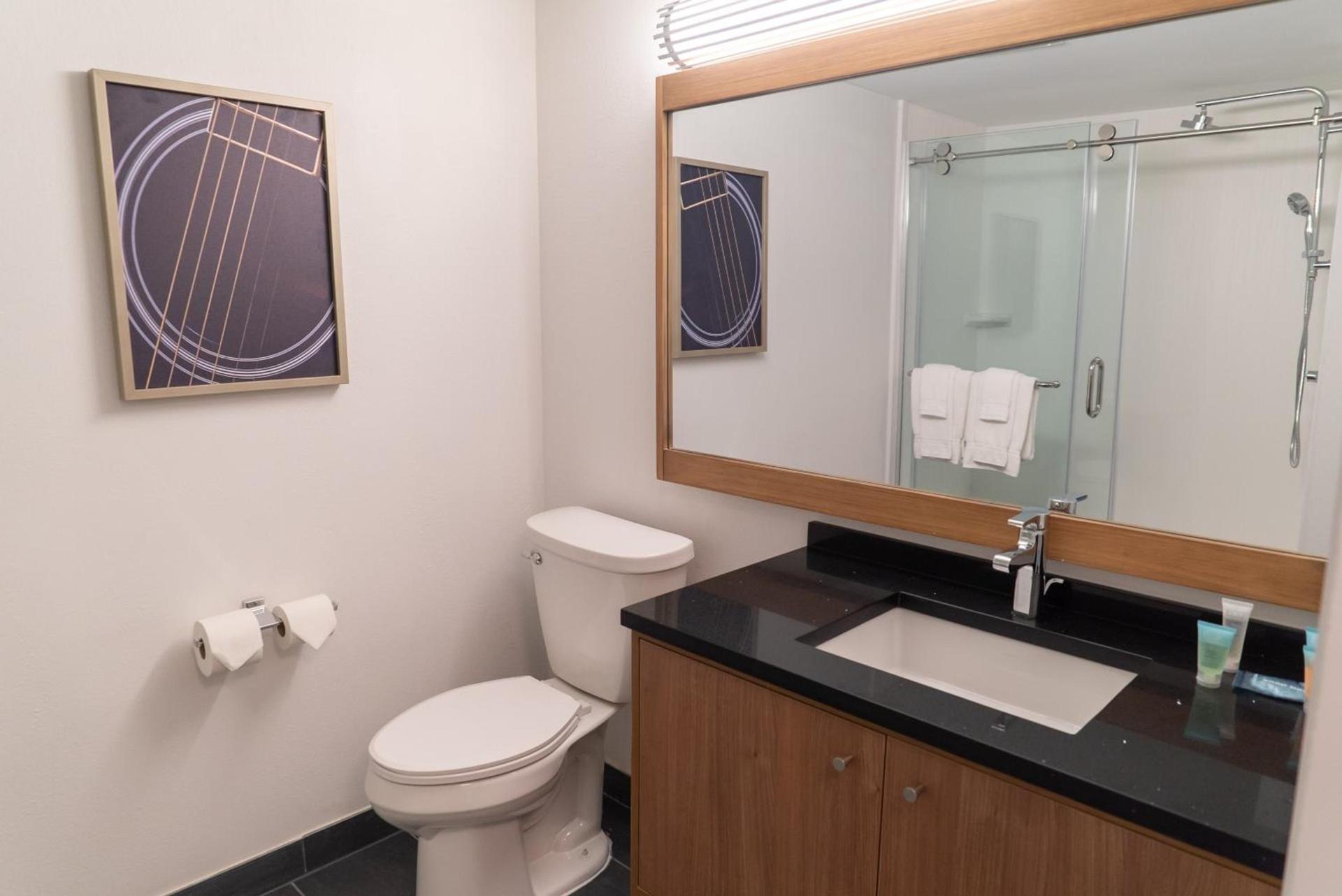Hotel Indigo Detroit Downtown by IHG photo 88