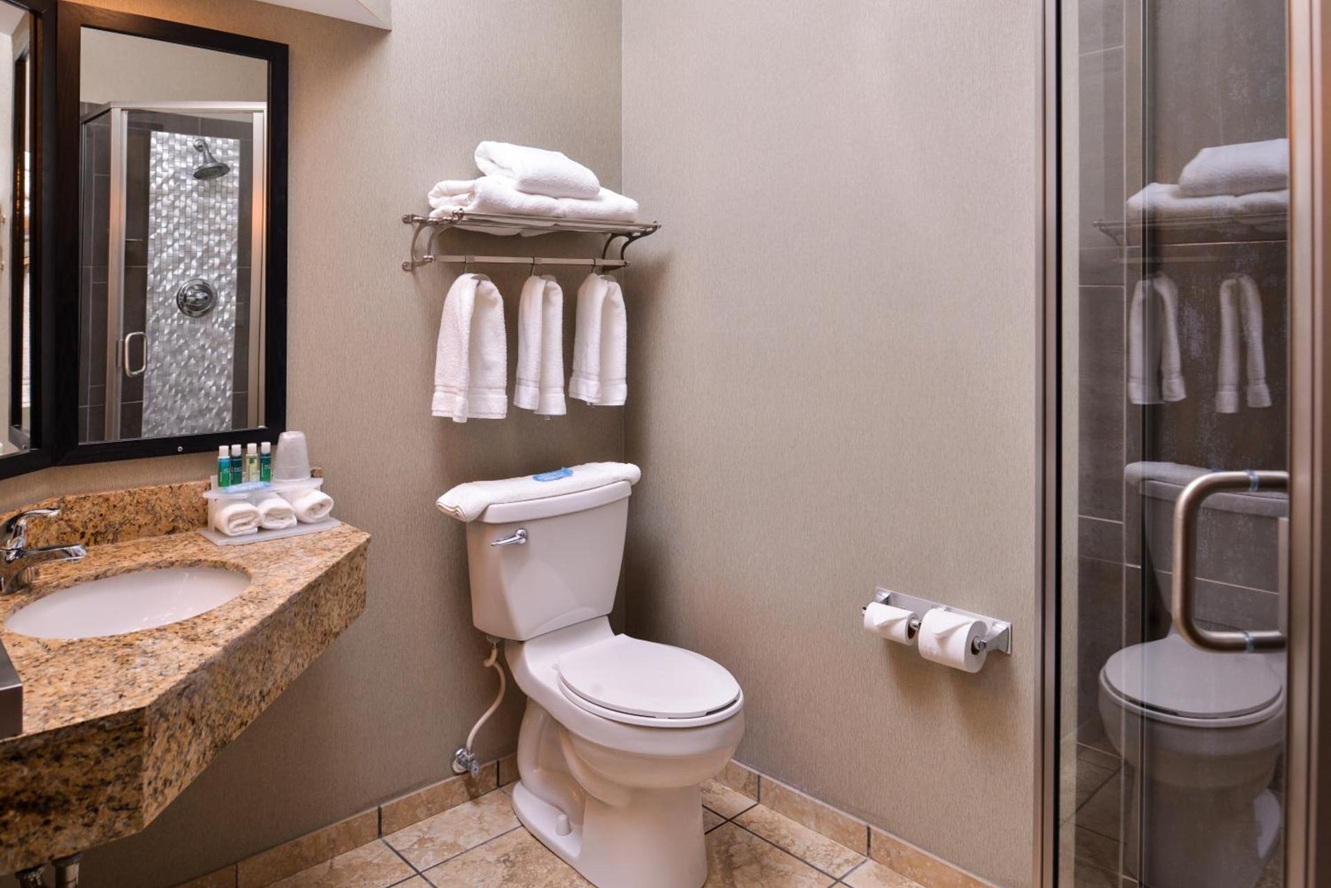 Holiday Inn Express & Suites Topeka West I-70 Wanamaker by IHG photo 28