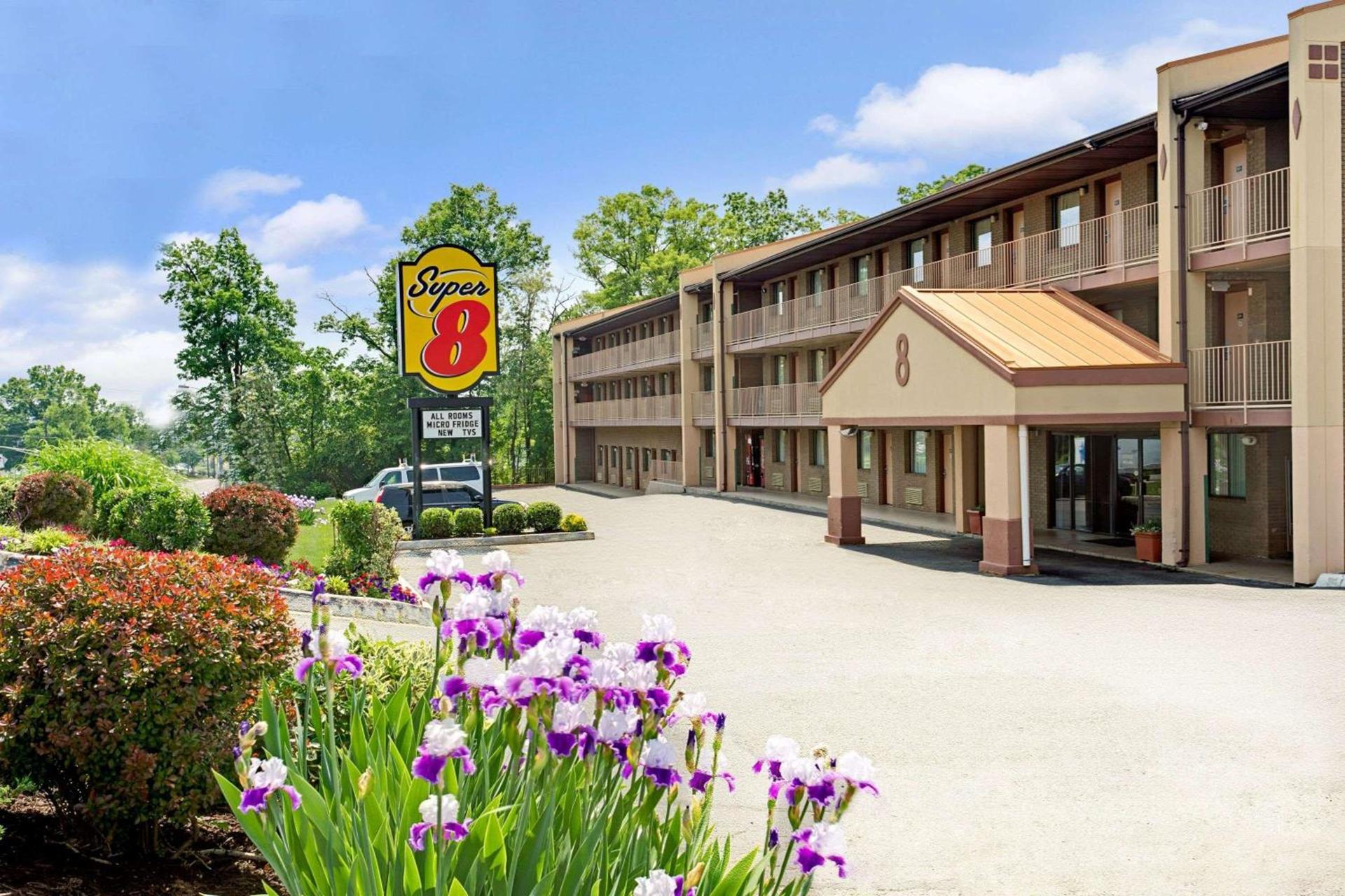 Super 8 by Wyndham Laurel photo 3