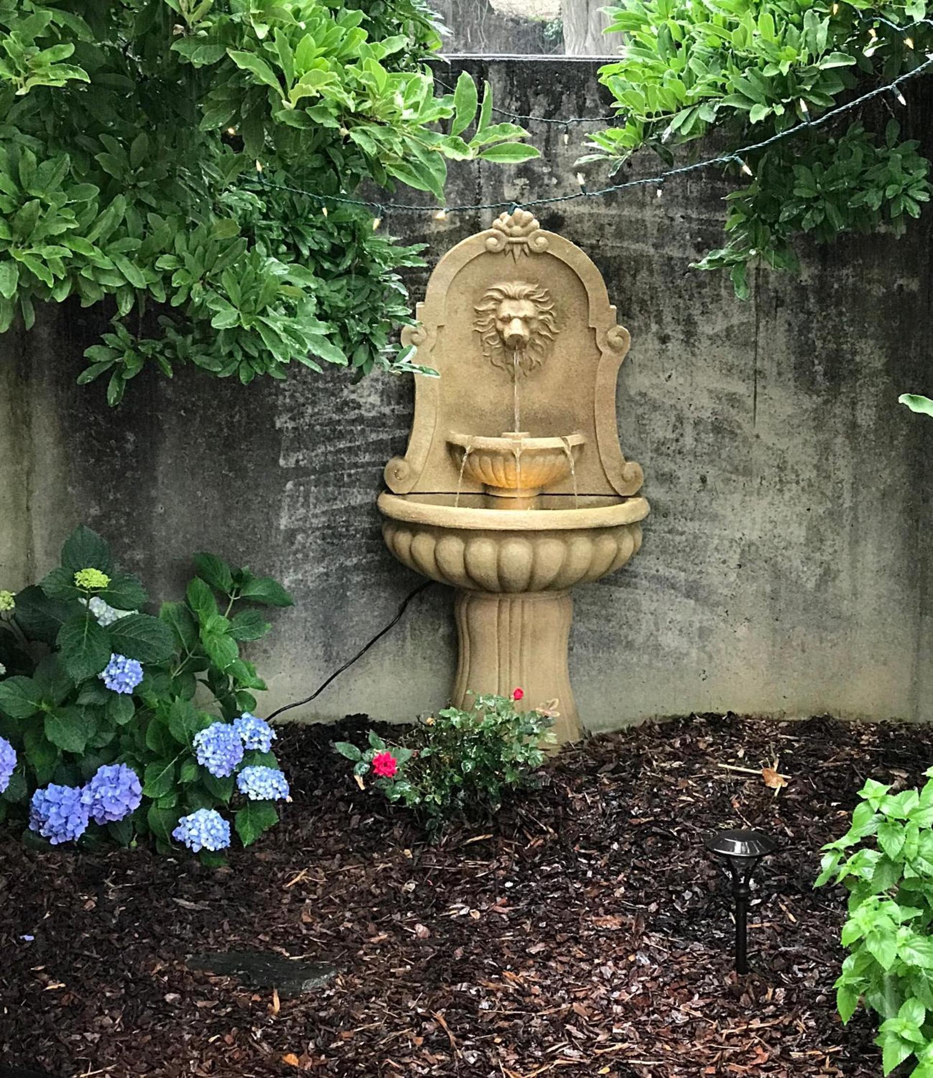 The Dahlonega Square Hotel photo 34
