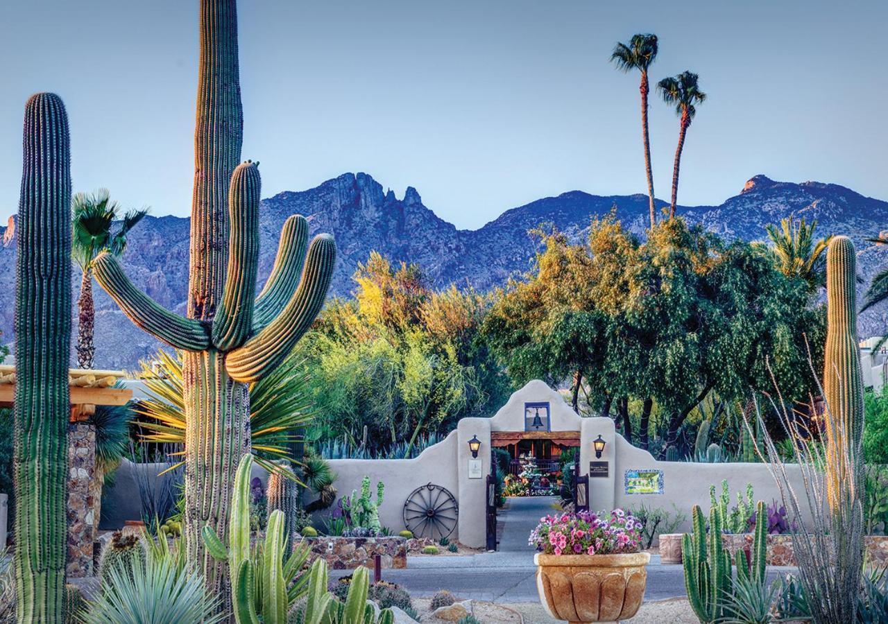 Hacienda del Sol Guest Ranch Resort photo 41