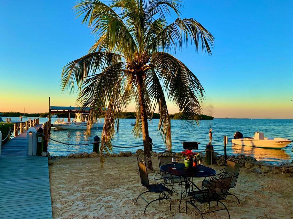 Coconut Palm Inn photo 17