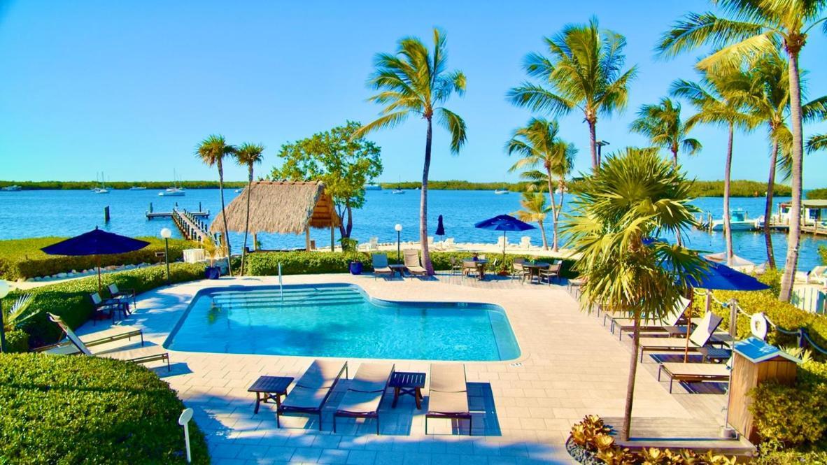 Coconut Palm Inn photo 19