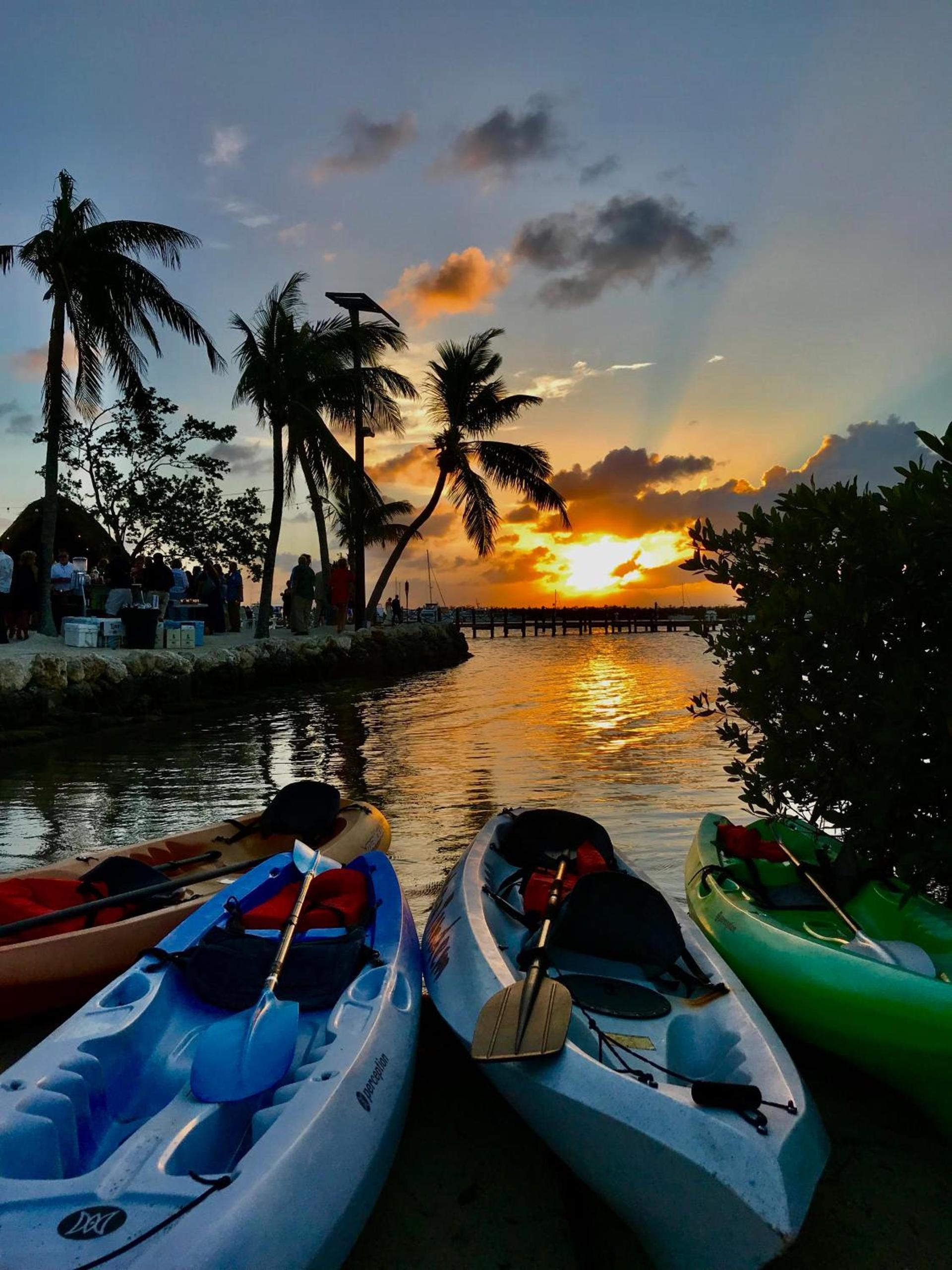 Coconut Palm Inn photo 18