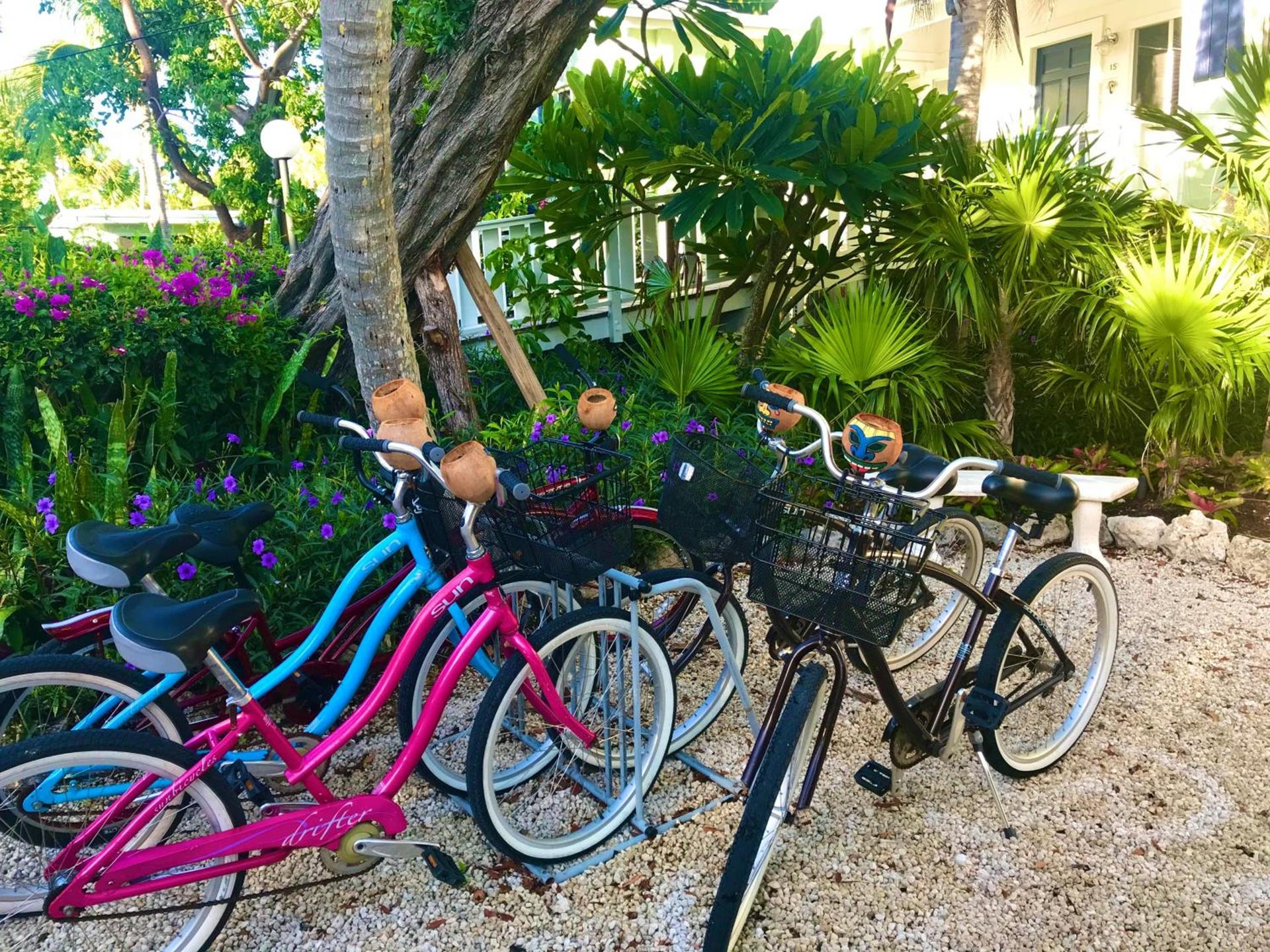 Coconut Palm Inn photo 14