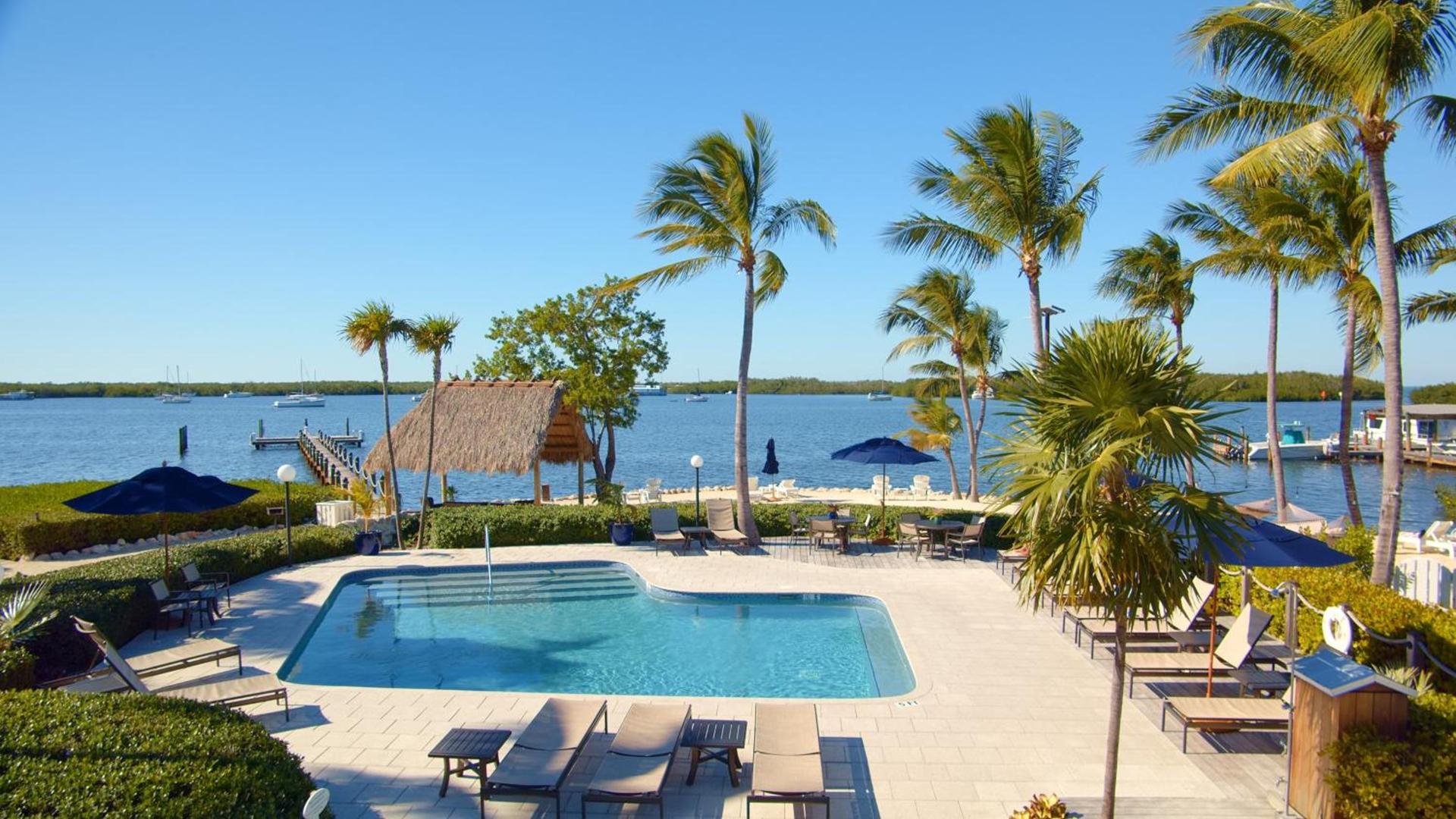 Coconut Palm Inn photo 6
