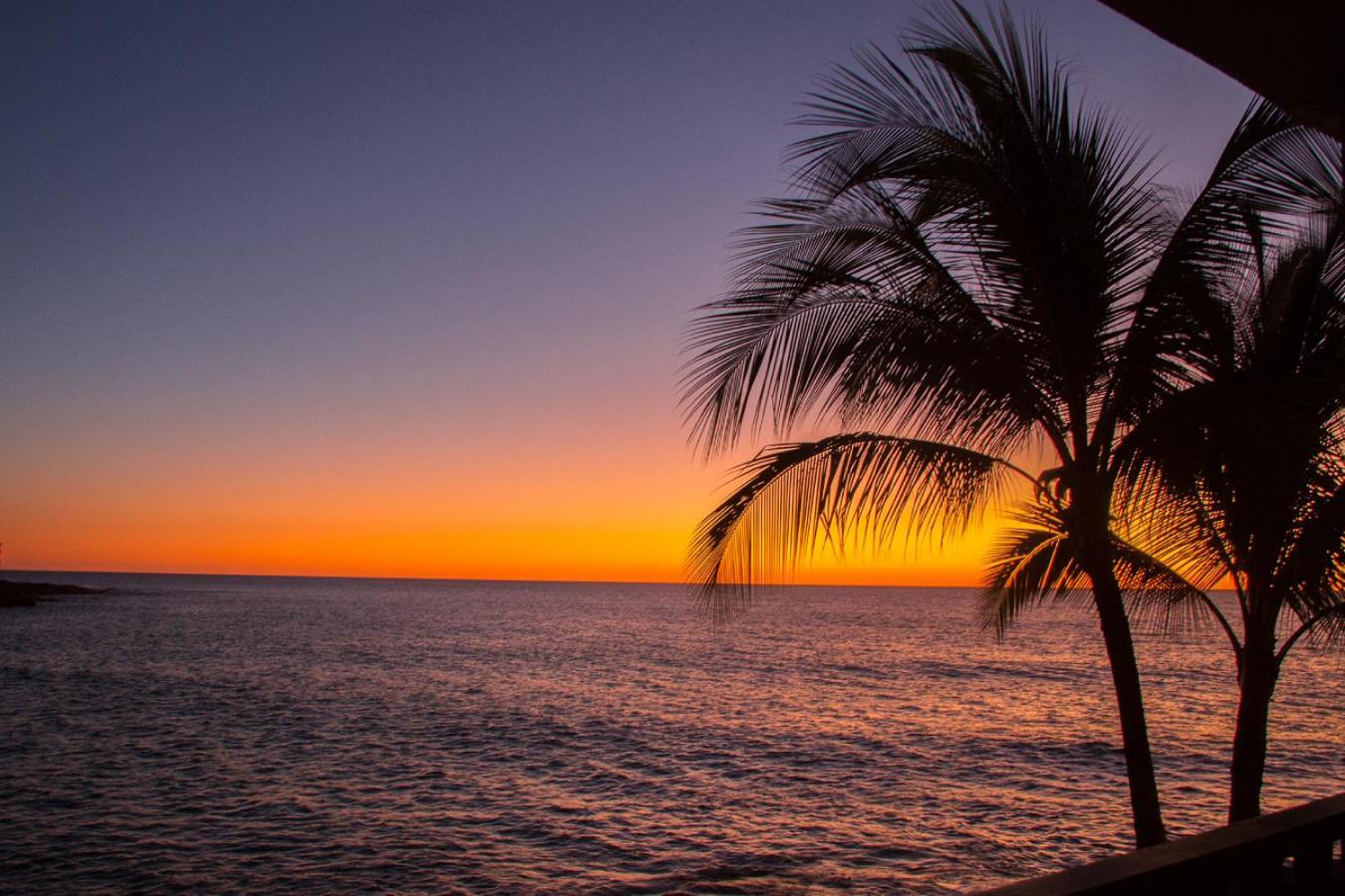 Kona Tiki Hotel - No Resort Fees photo 4