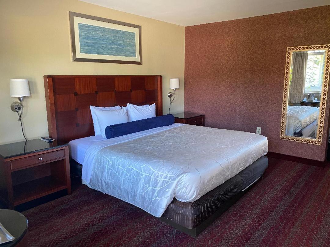 The Black Mountain Inn photo 18