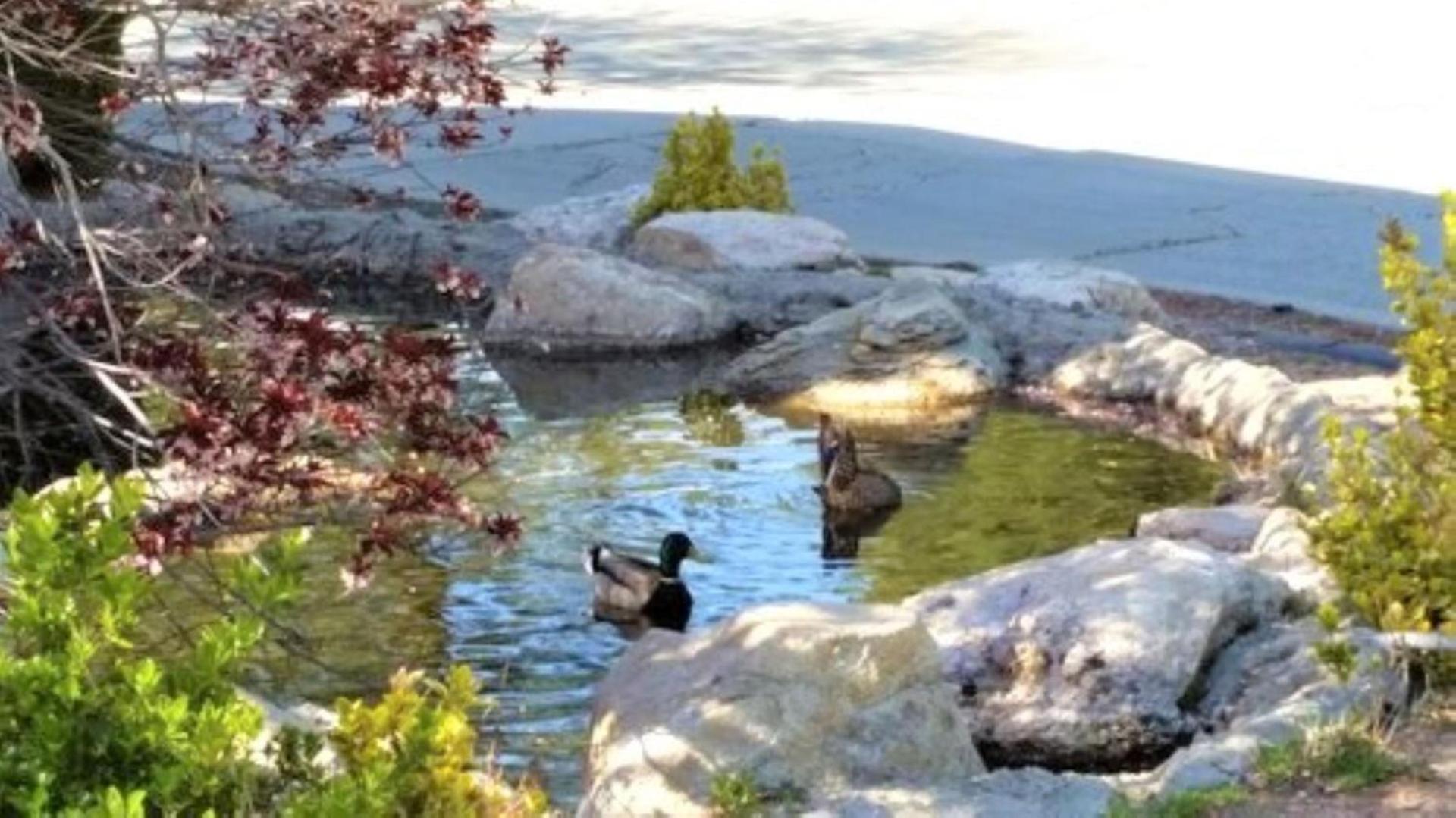 North Bay At Lake Arrowhead photo 25