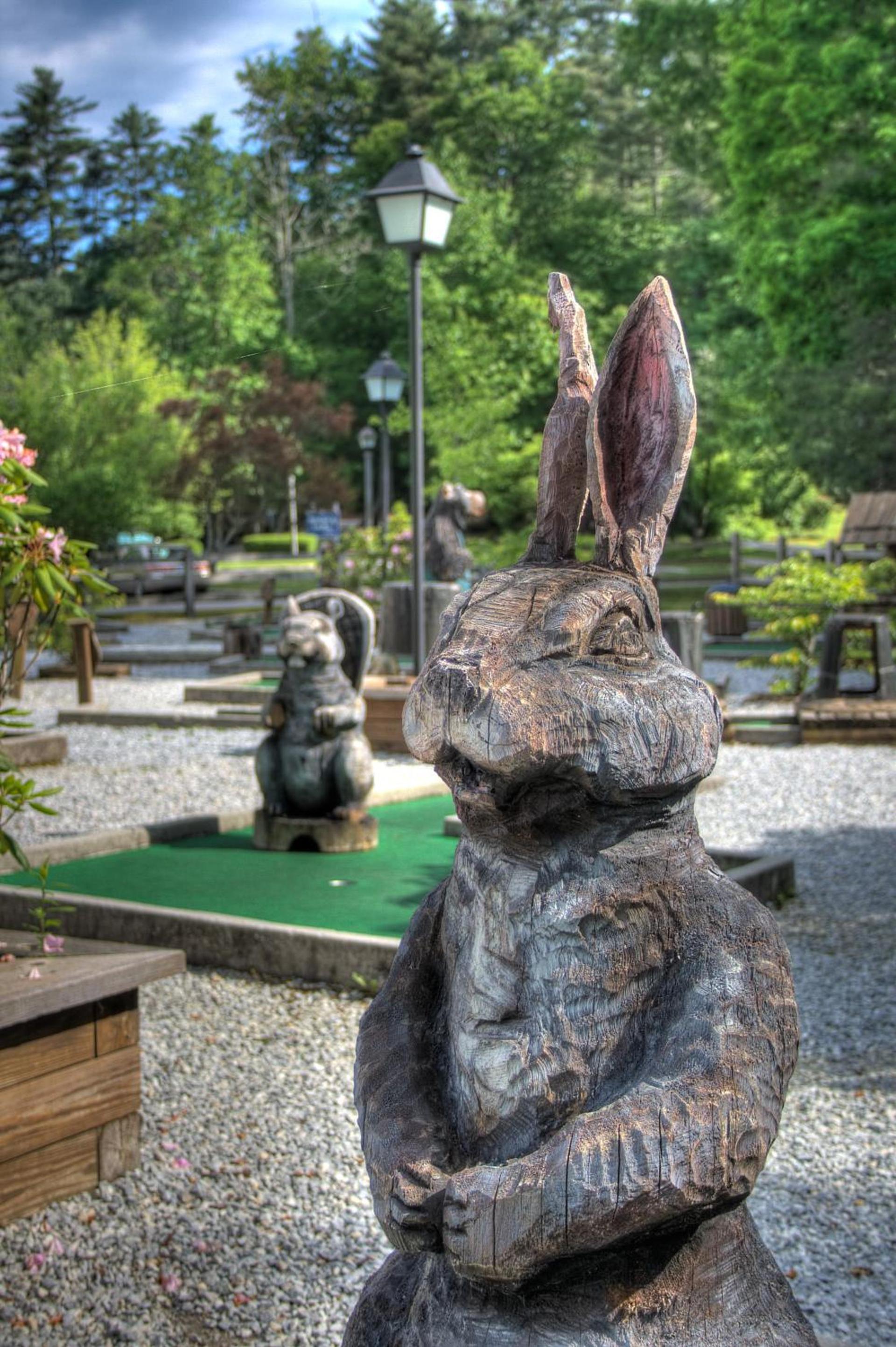 Foxhunt at Sapphire Valley photo 19