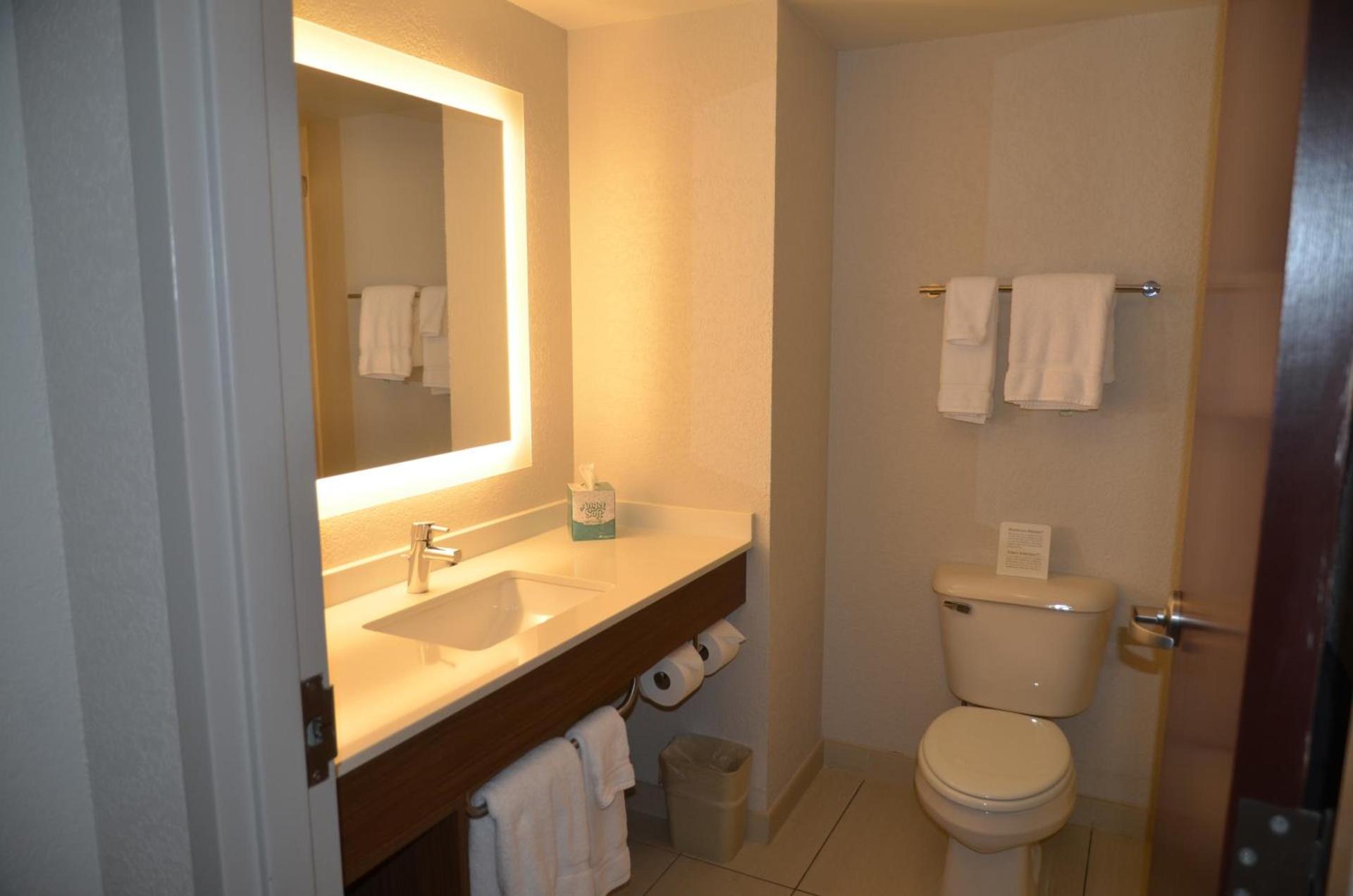 Holiday Inn Express & Suites Rochester by IHG photo 11