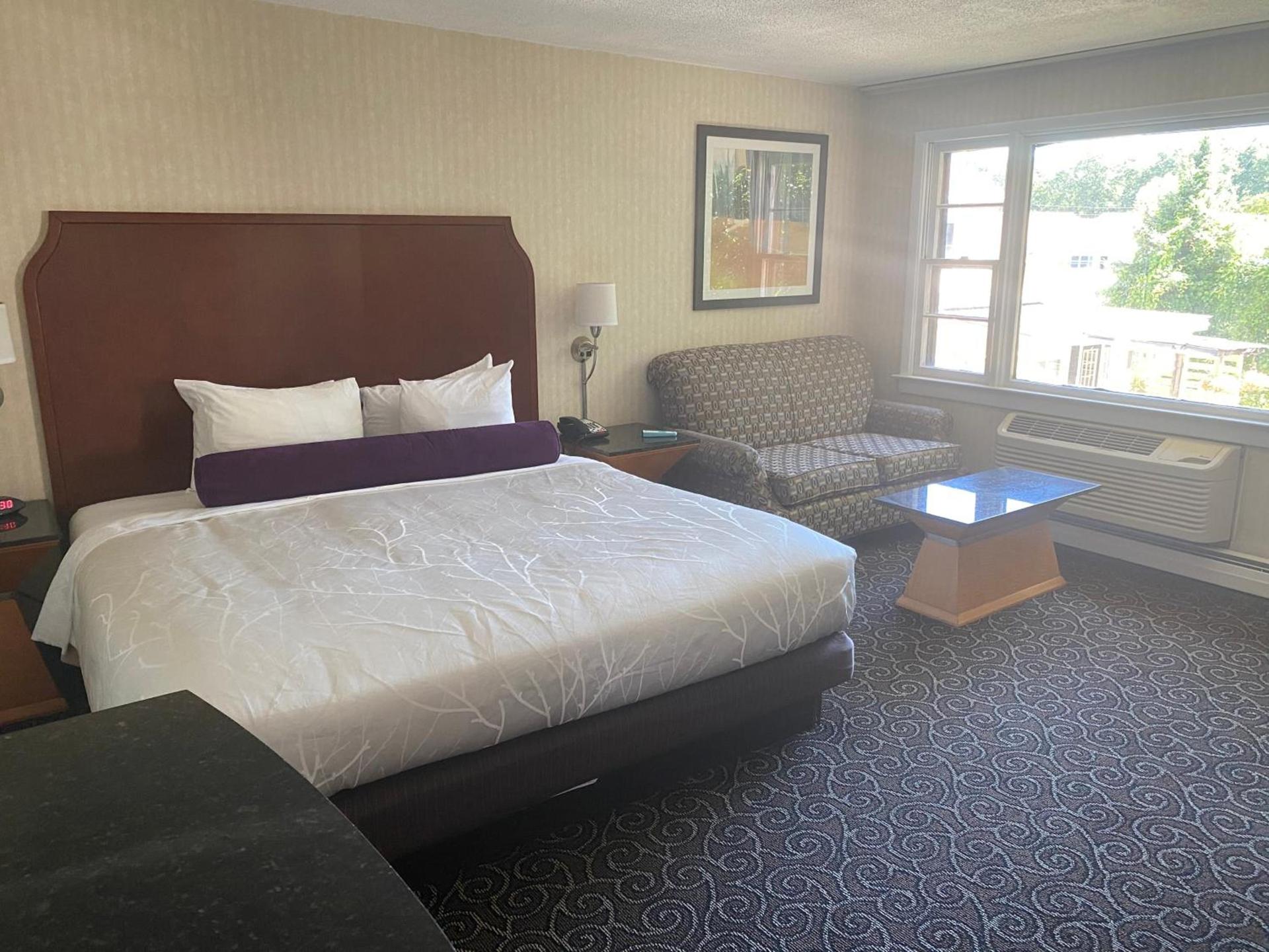 The Black Mountain Inn photo 7