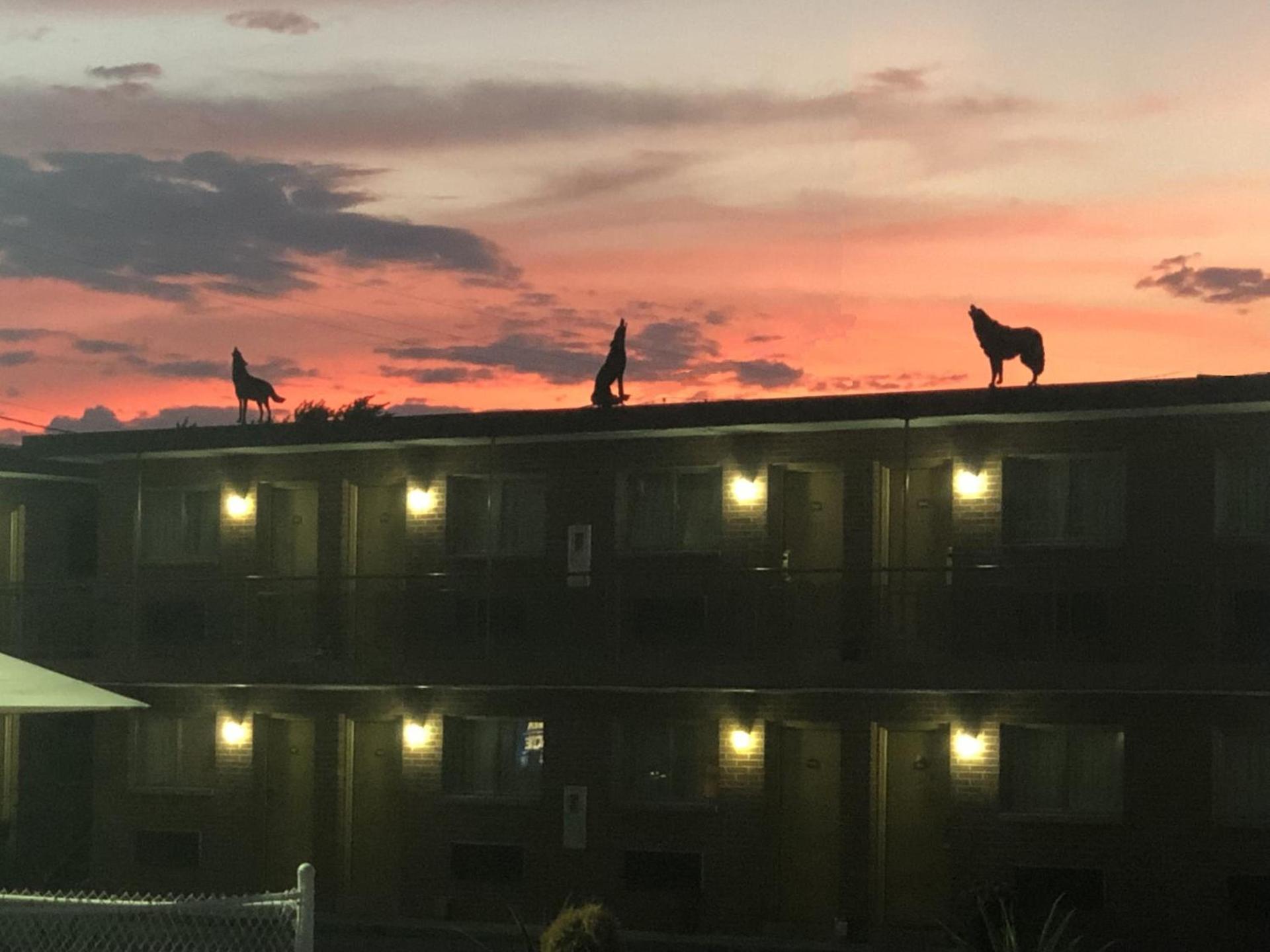 Wolf Inn Hotel photo 8
