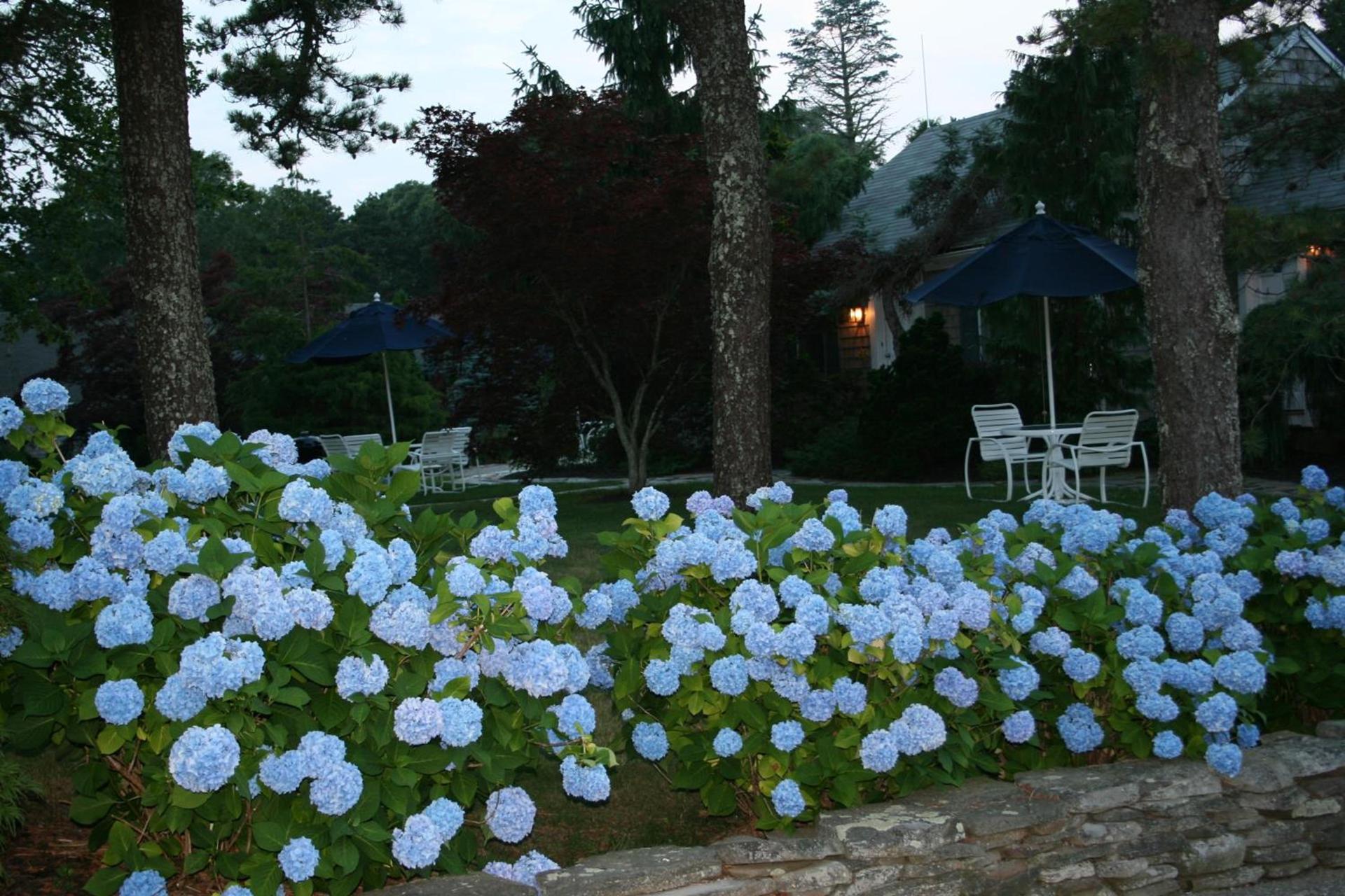 Pleasant Bay Village Resort photo 41